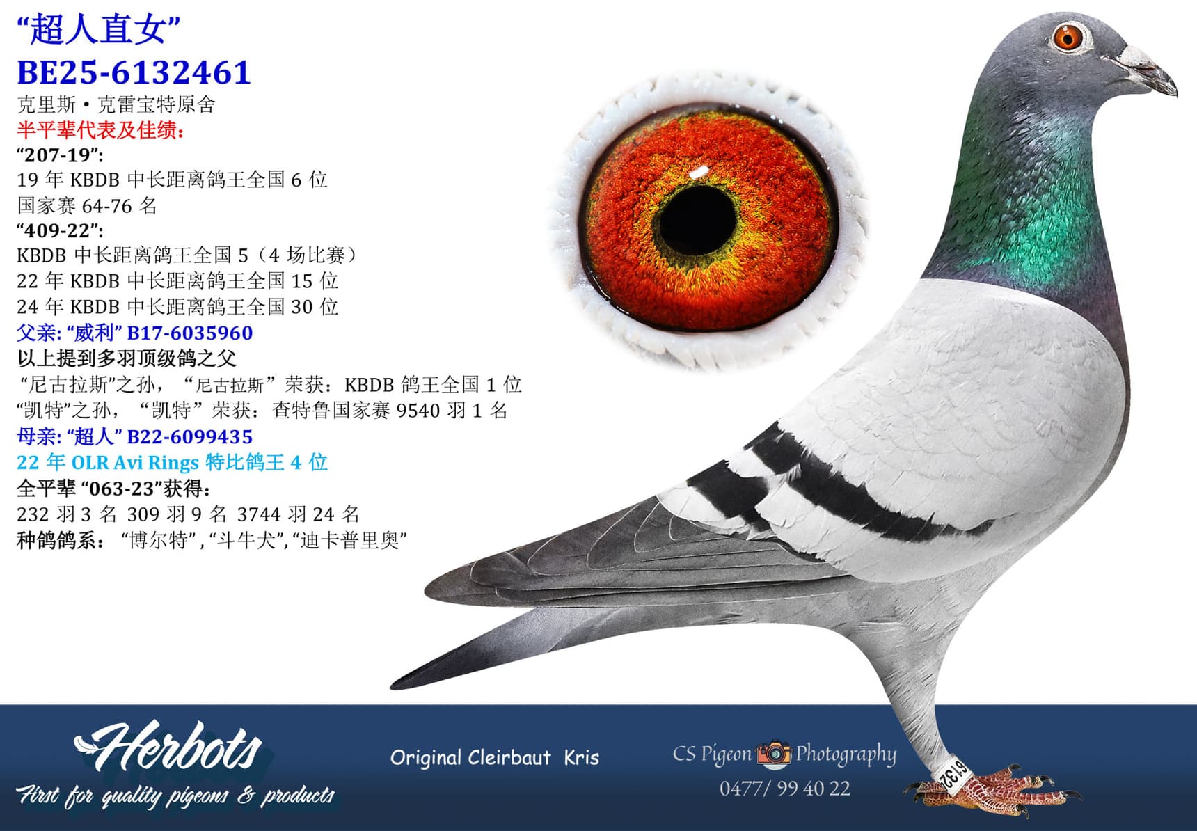 pigeon: undefined