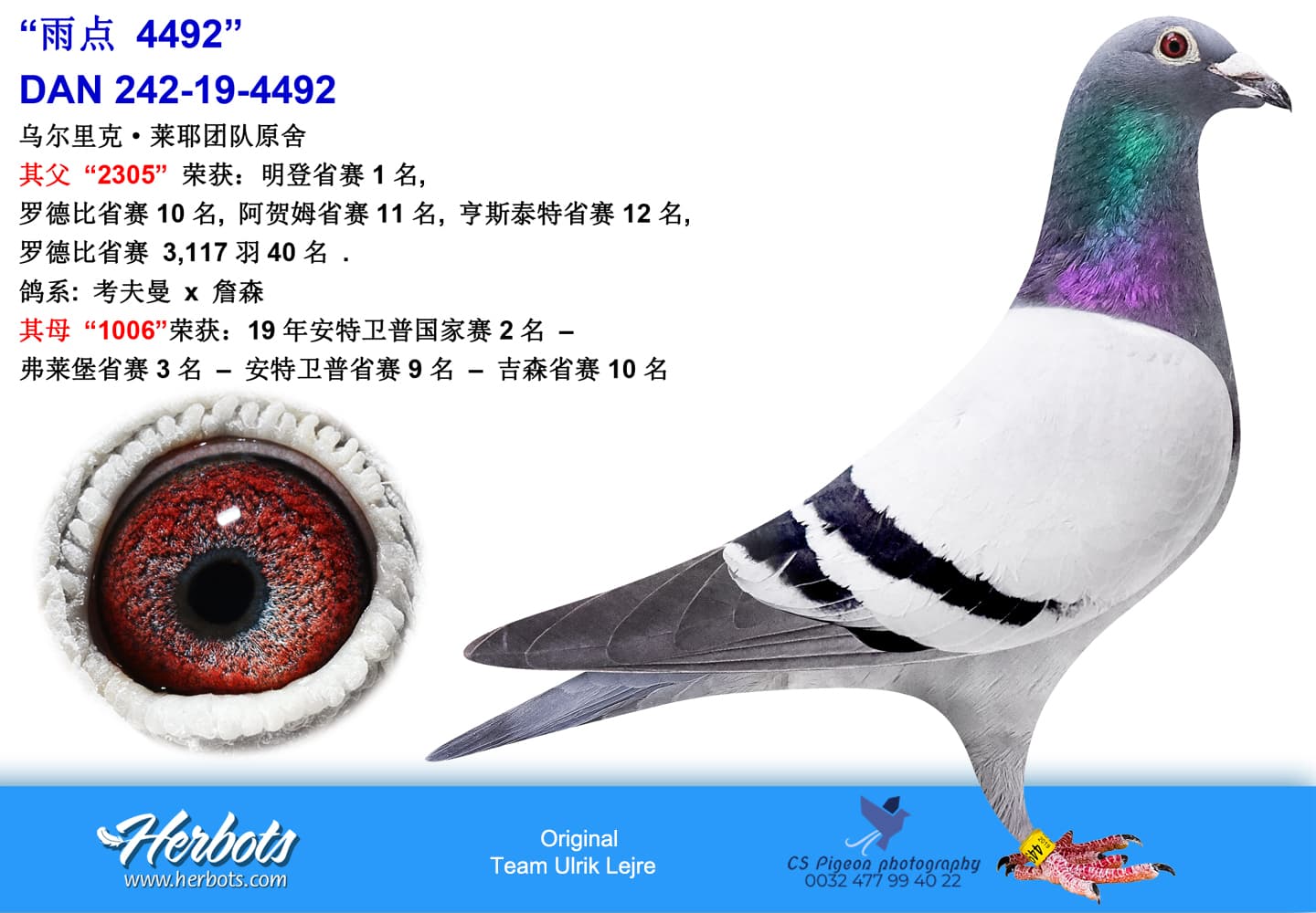 pigeon: undefined