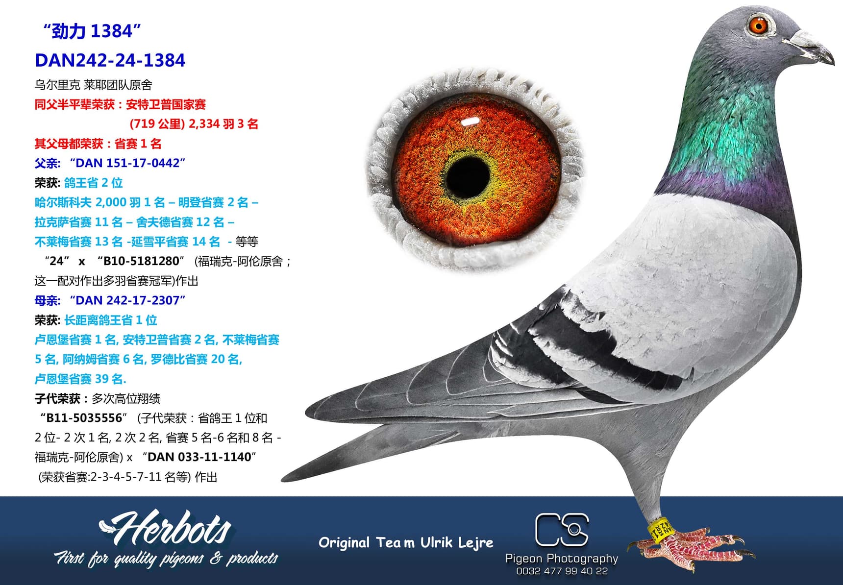 pigeon: undefined