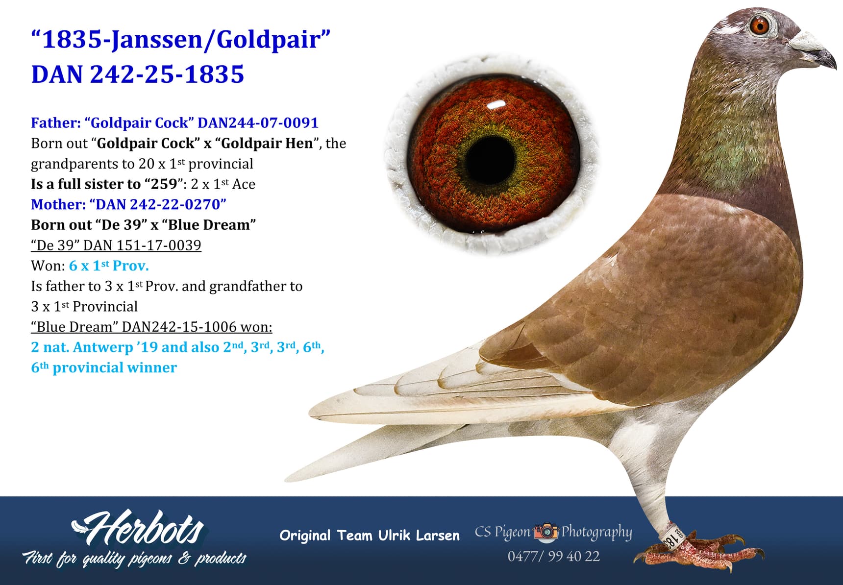 pigeon: undefined