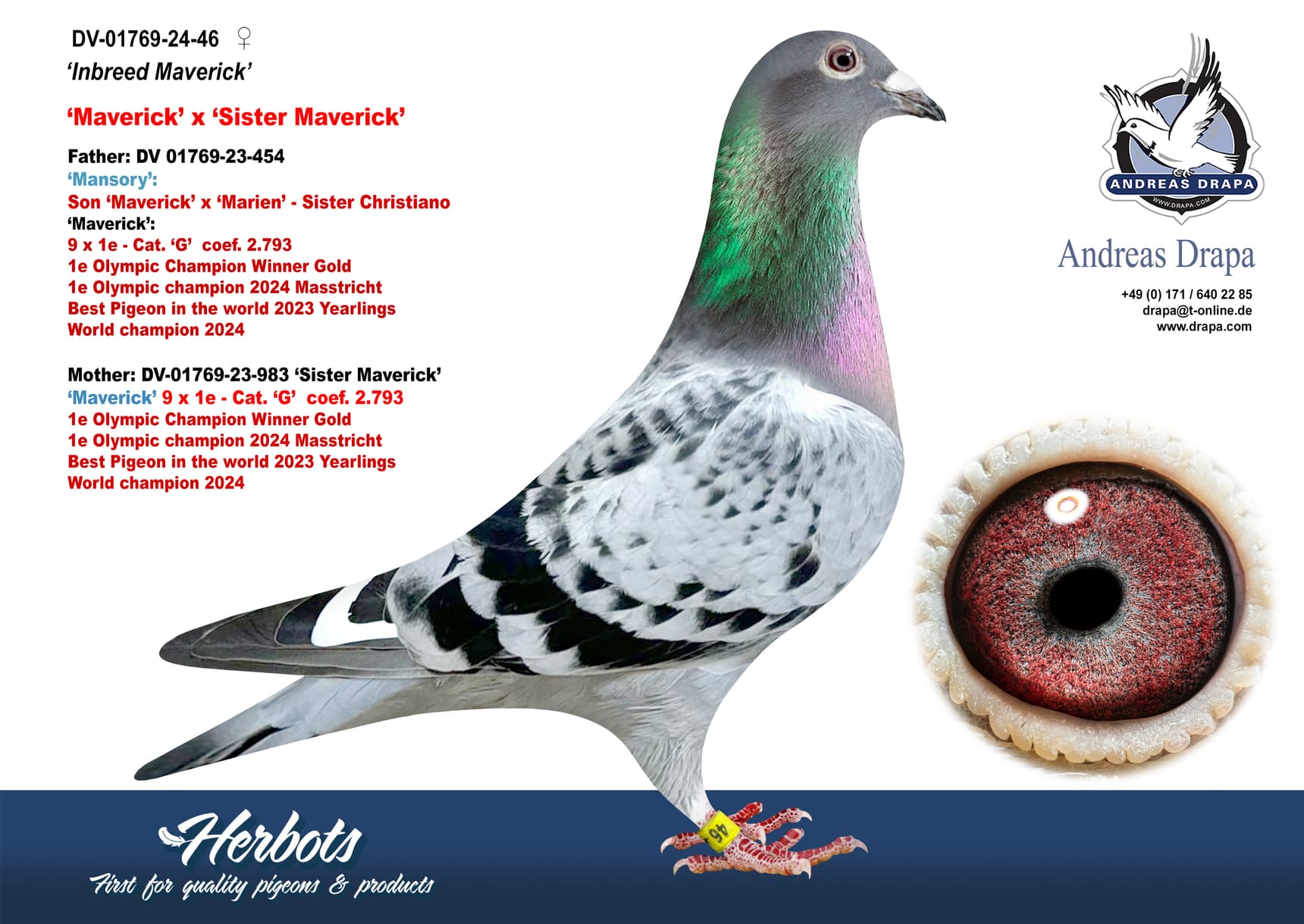 pigeon: undefined