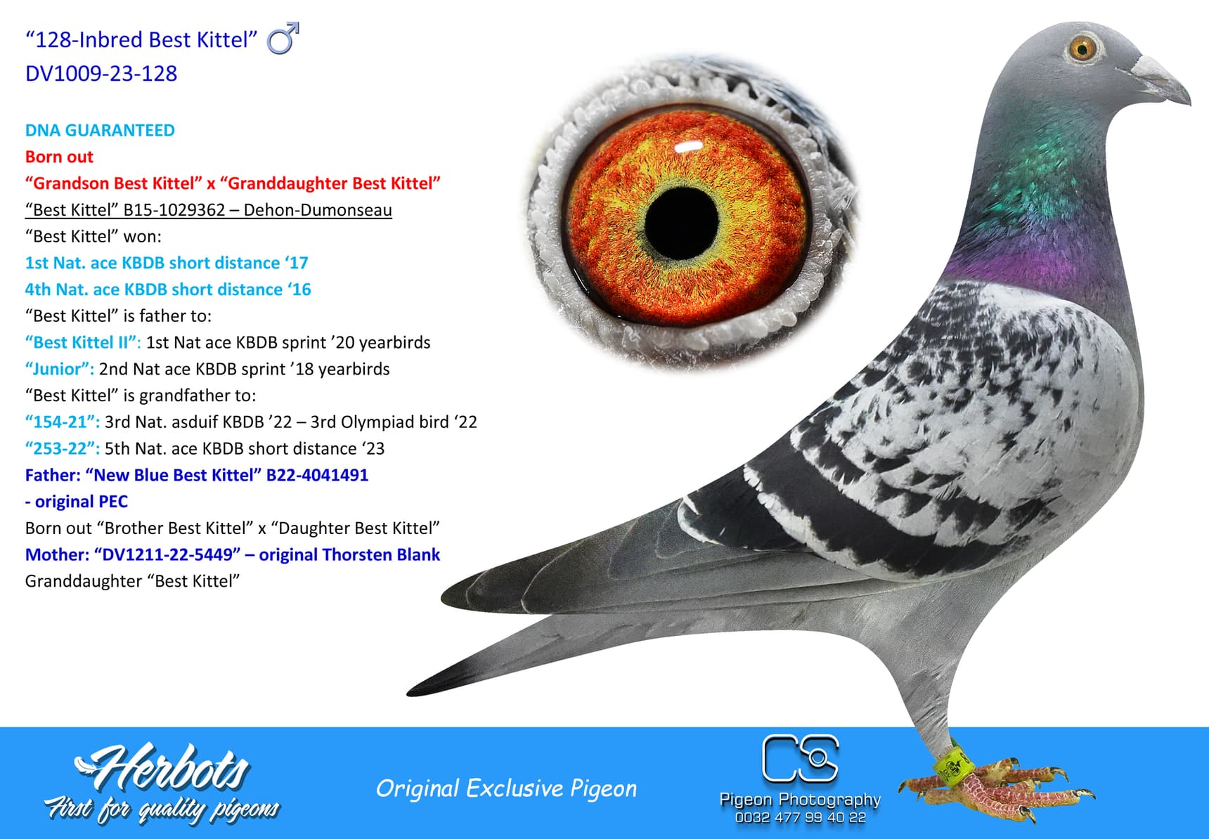 pigeon: undefined