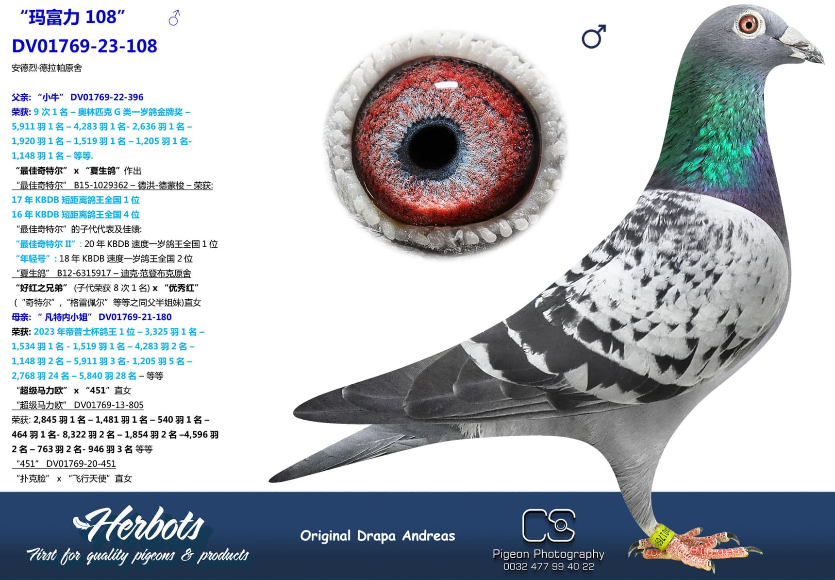 pigeon: undefined