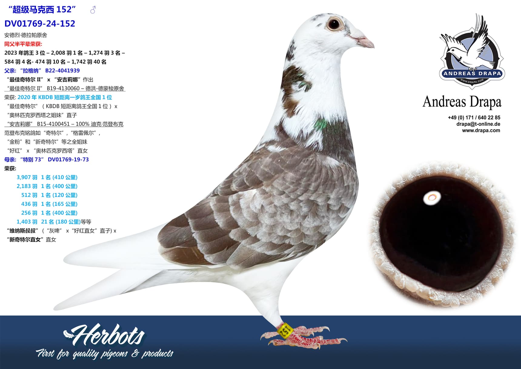 pigeon: undefined