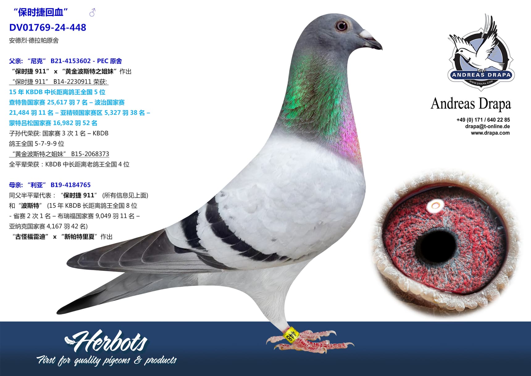 pigeon: undefined