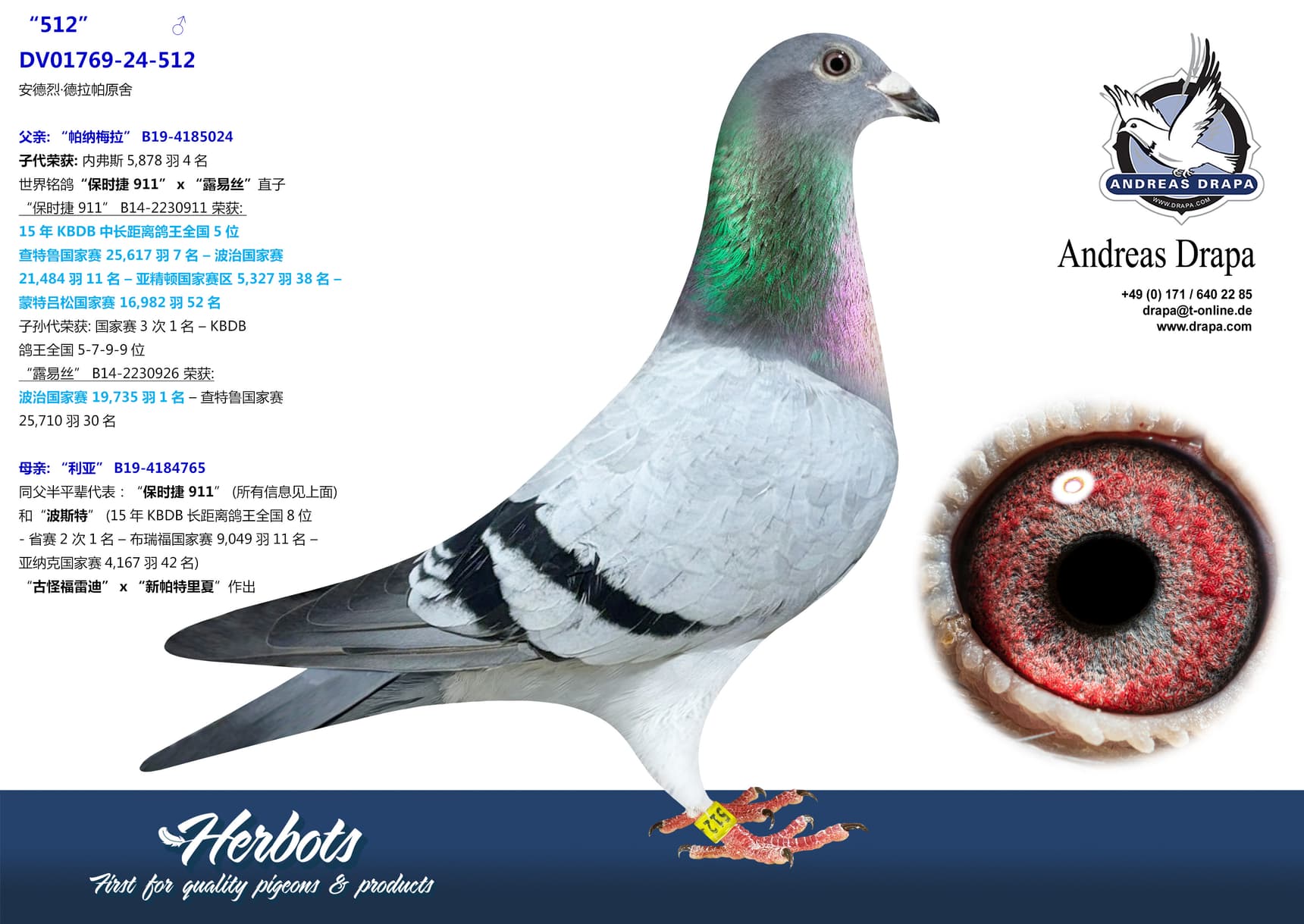 pigeon: undefined