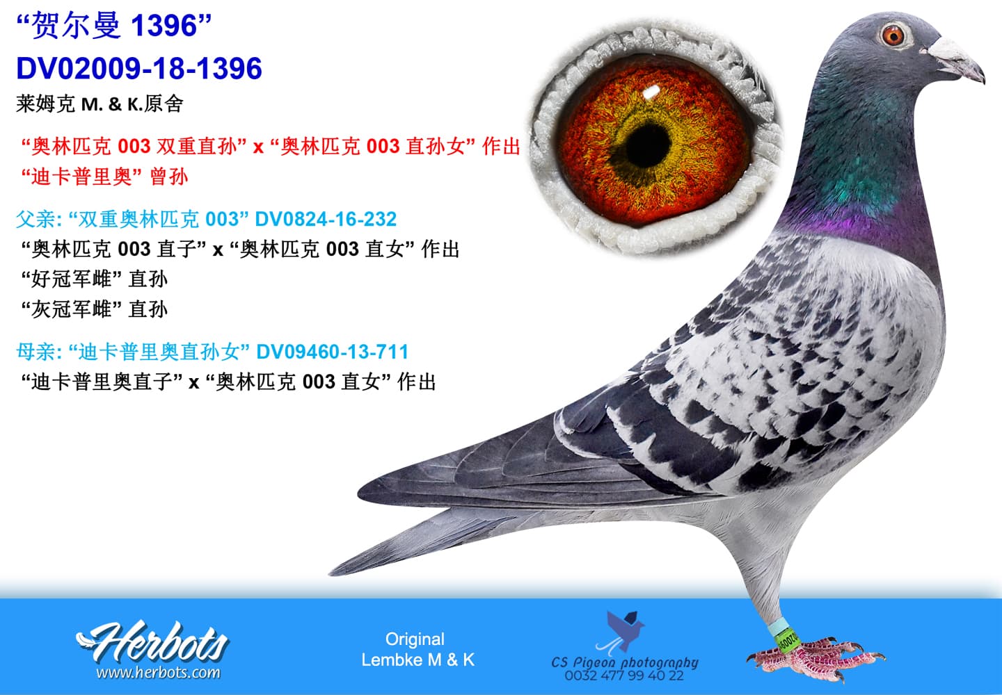 pigeon: undefined