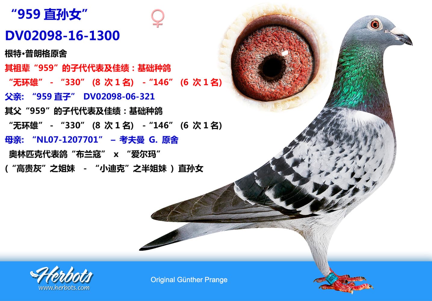 pigeon: undefined