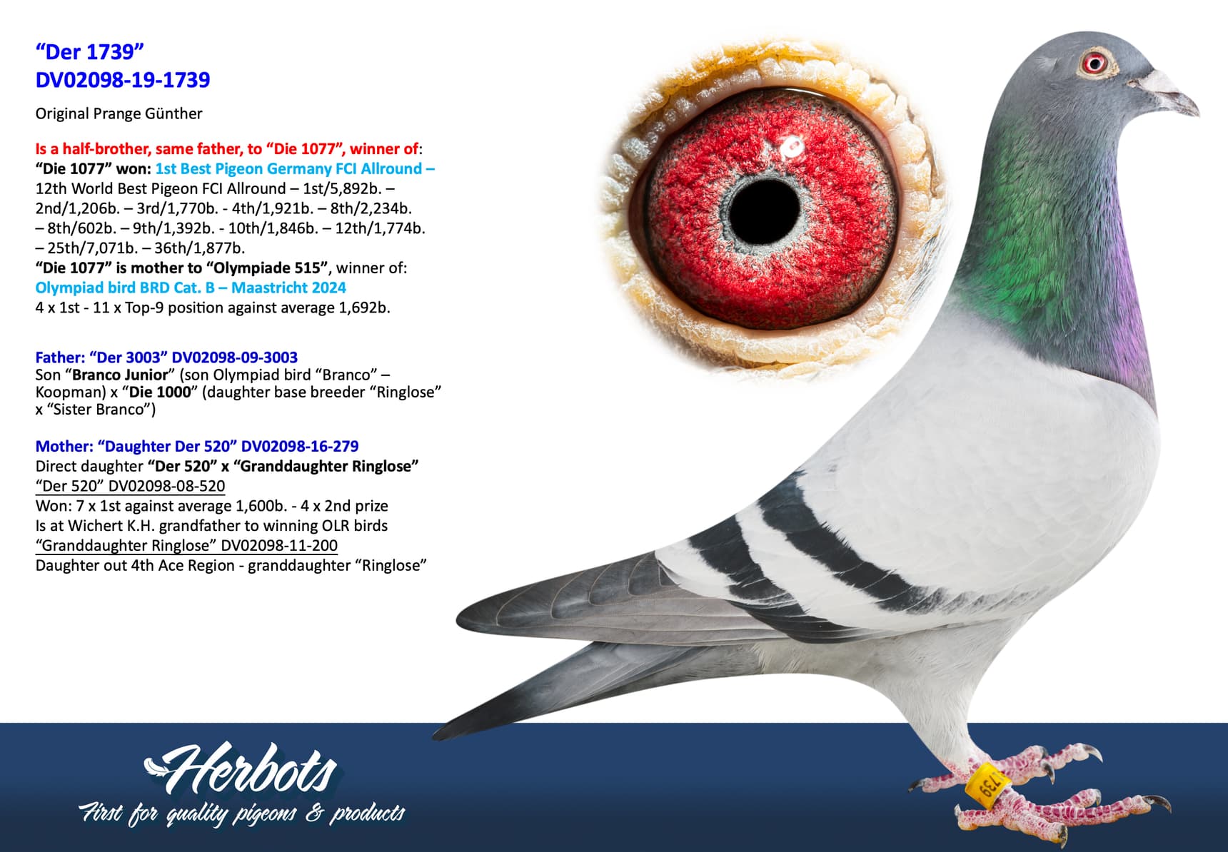 pigeon: undefined