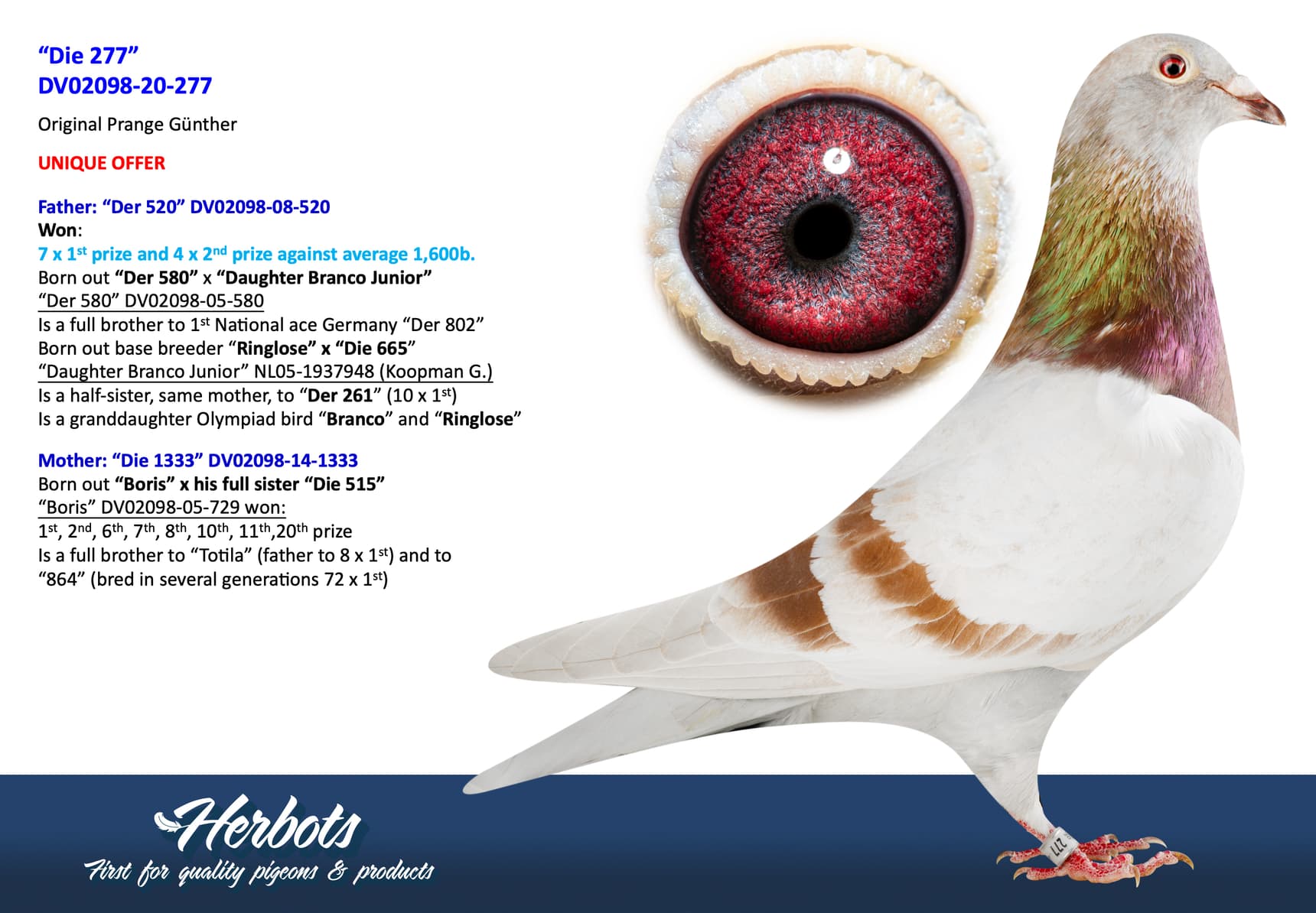 pigeon: undefined
