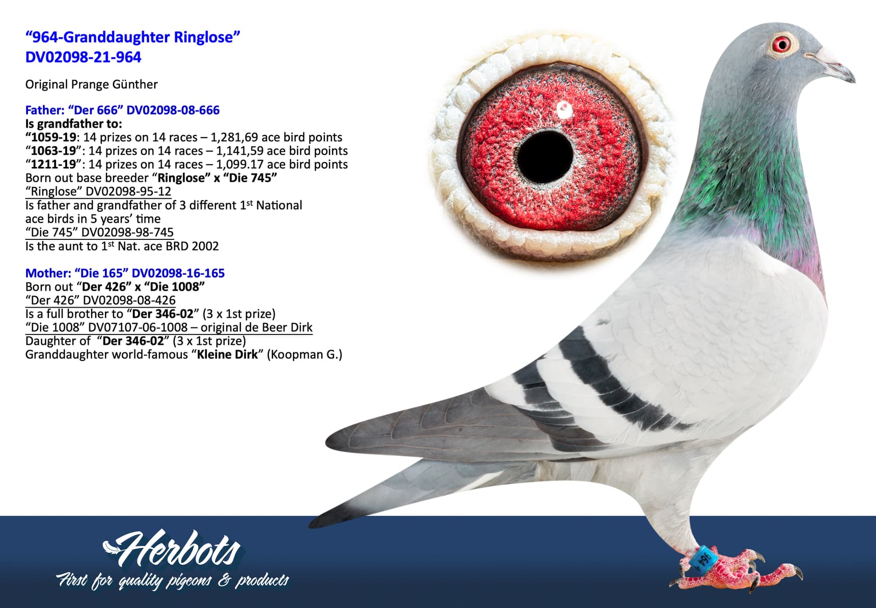 pigeon: undefined