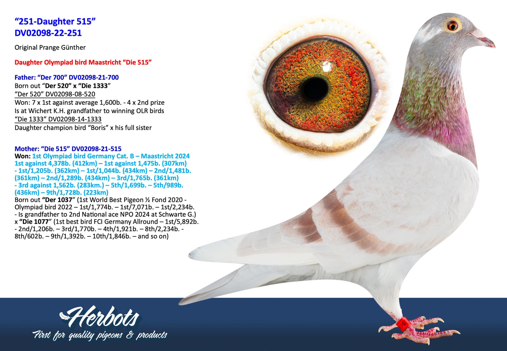 pigeon: undefined