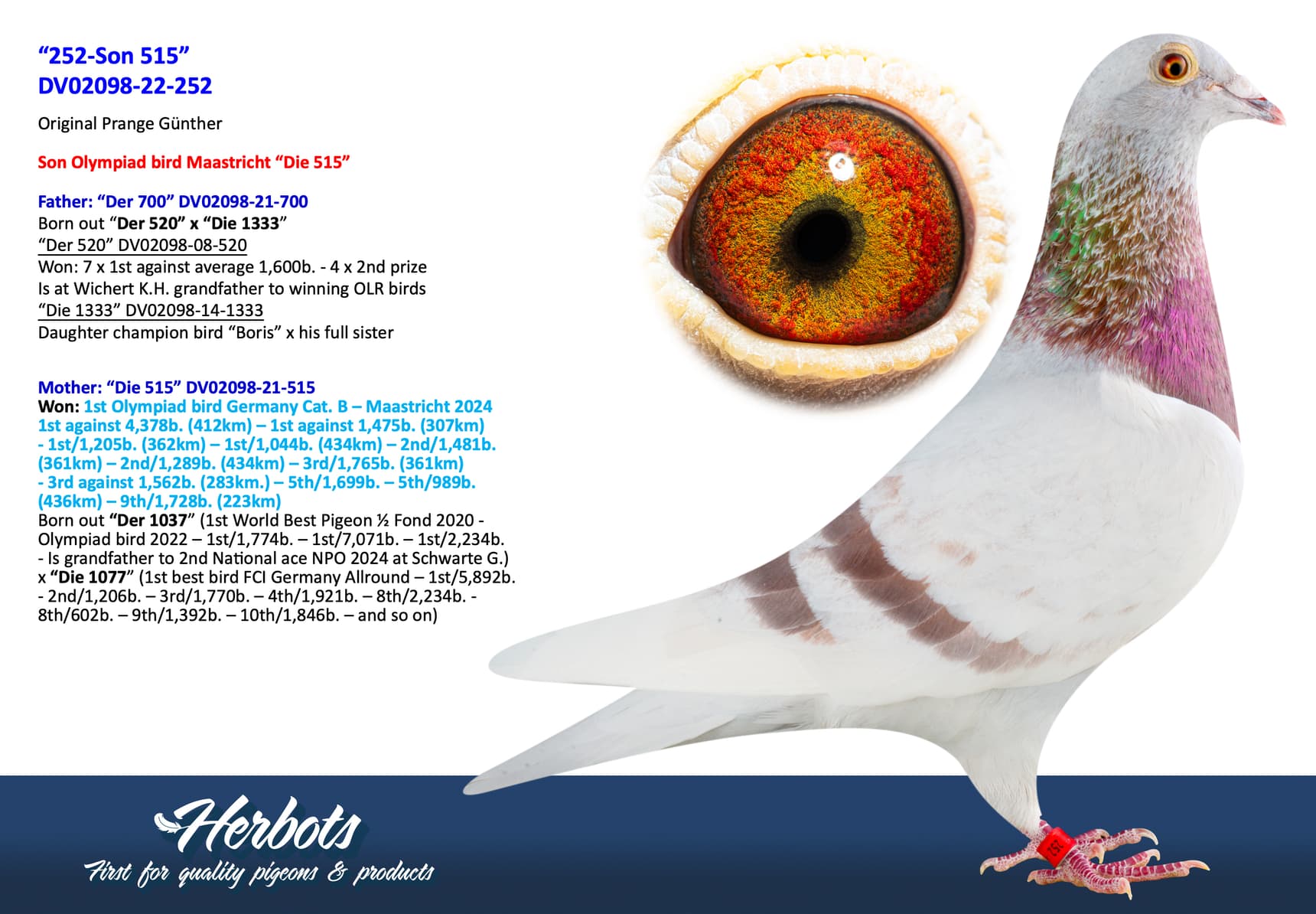 pigeon: undefined