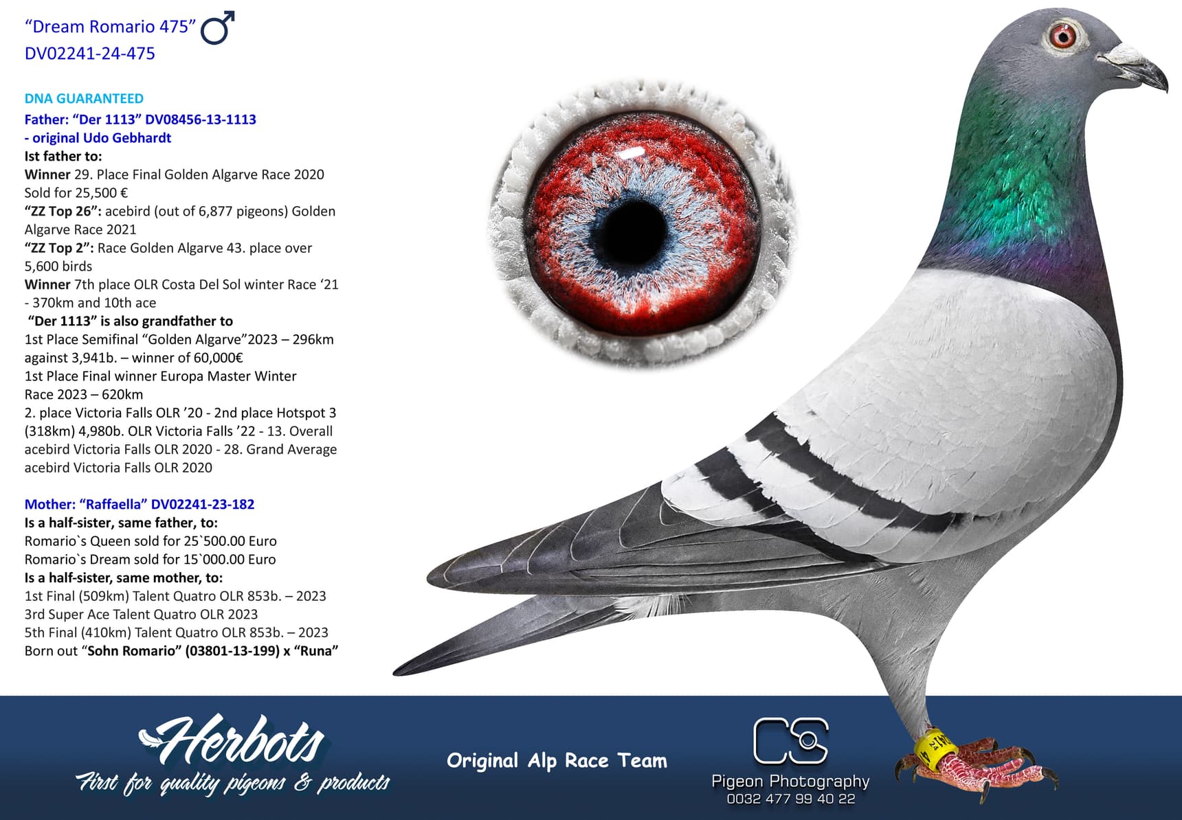 pigeon: undefined