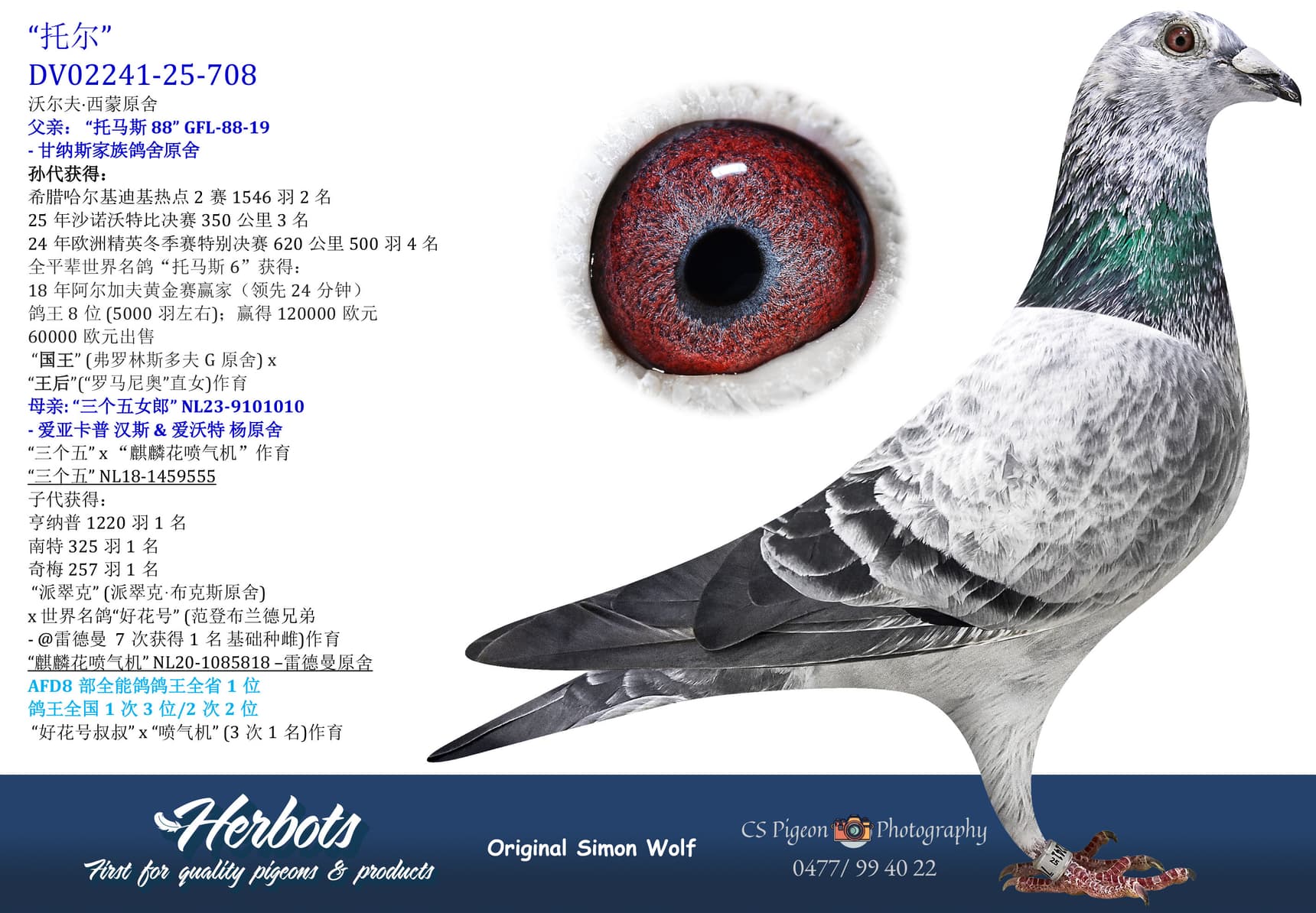 pigeon: undefined
