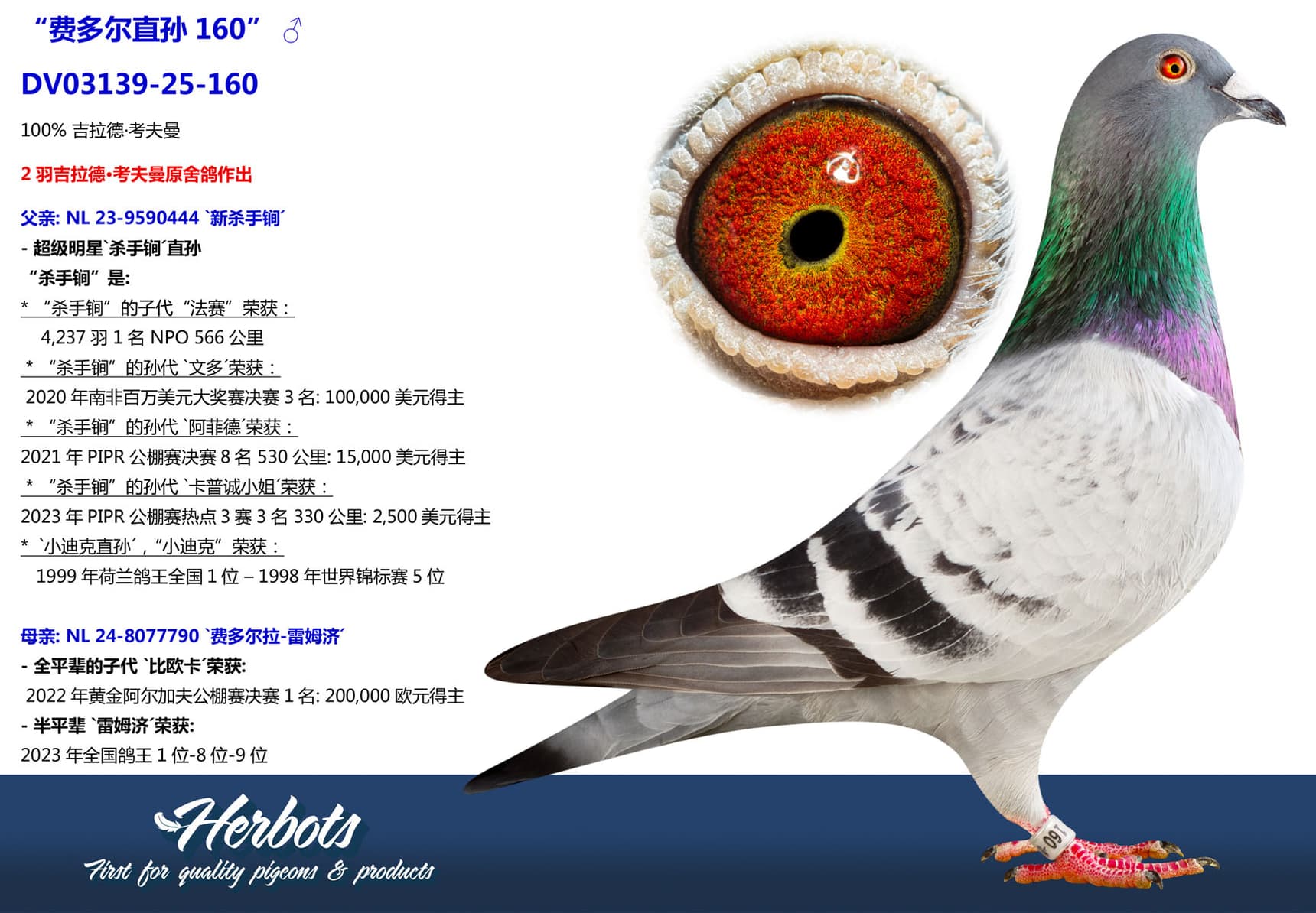 pigeon: undefined