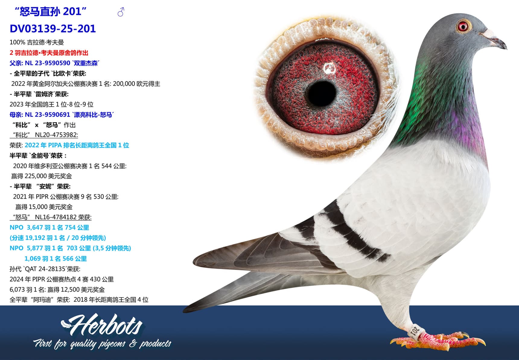pigeon: undefined