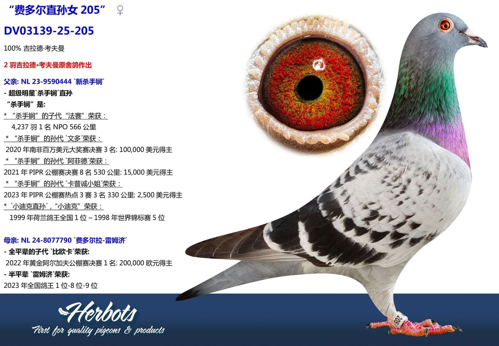 pigeon: undefined
