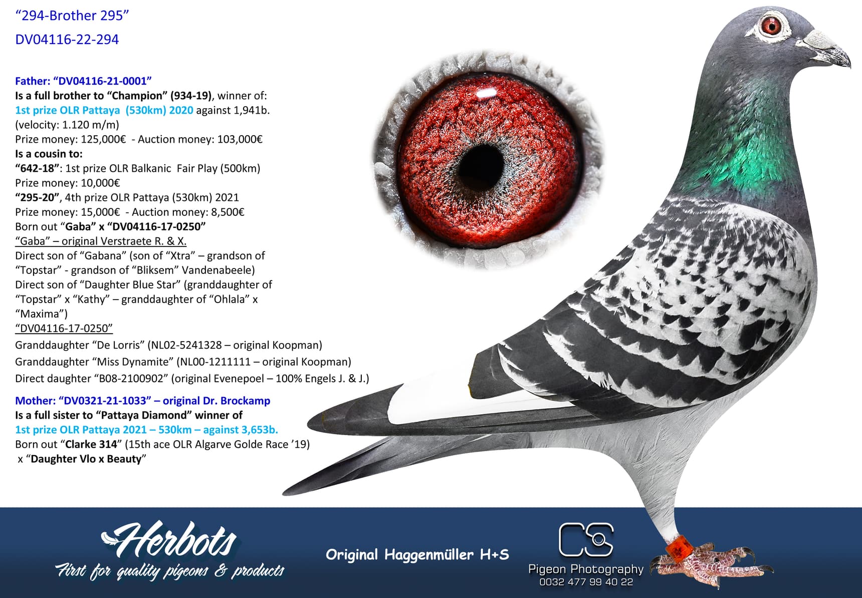 pigeon: undefined