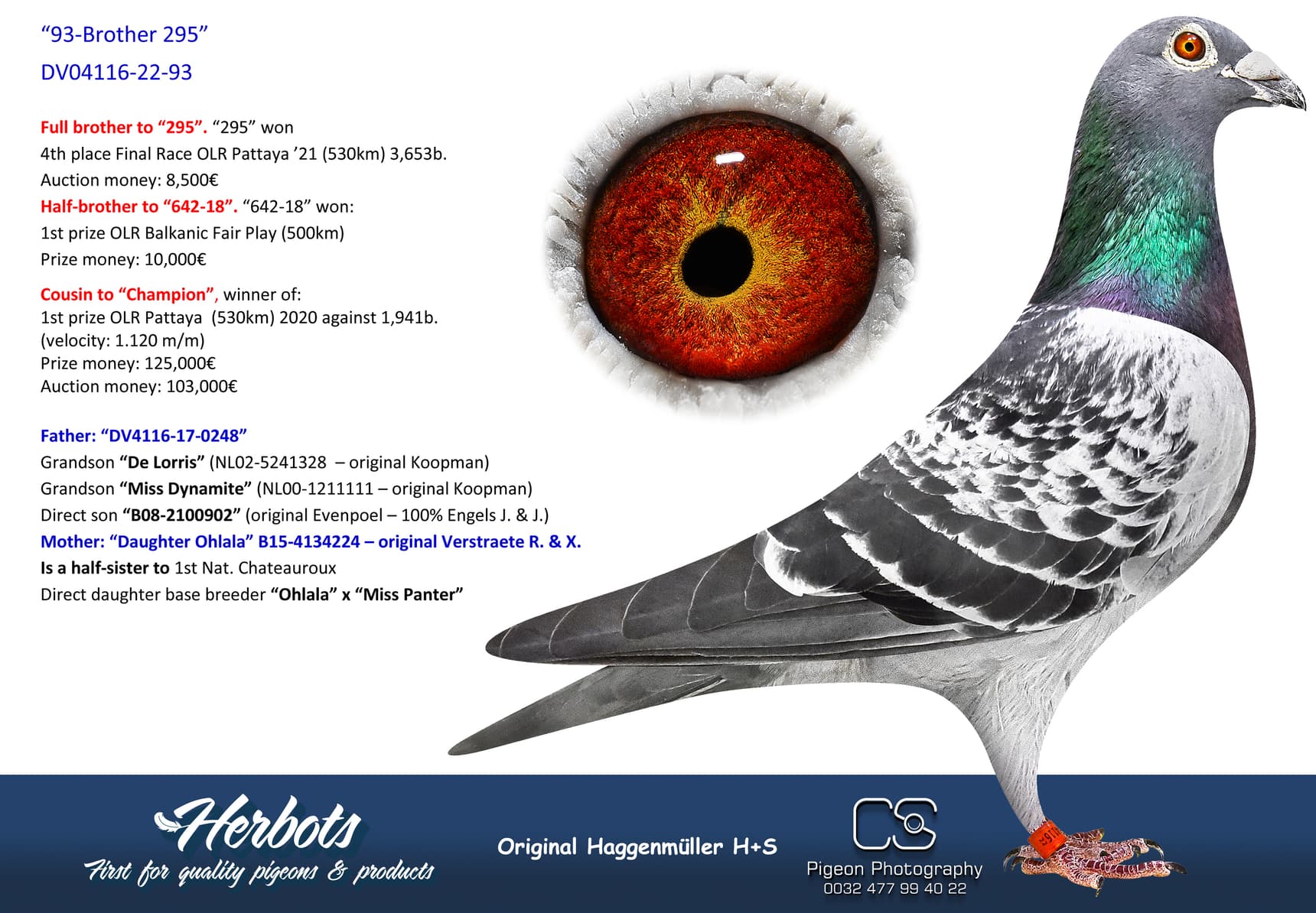 pigeon: undefined