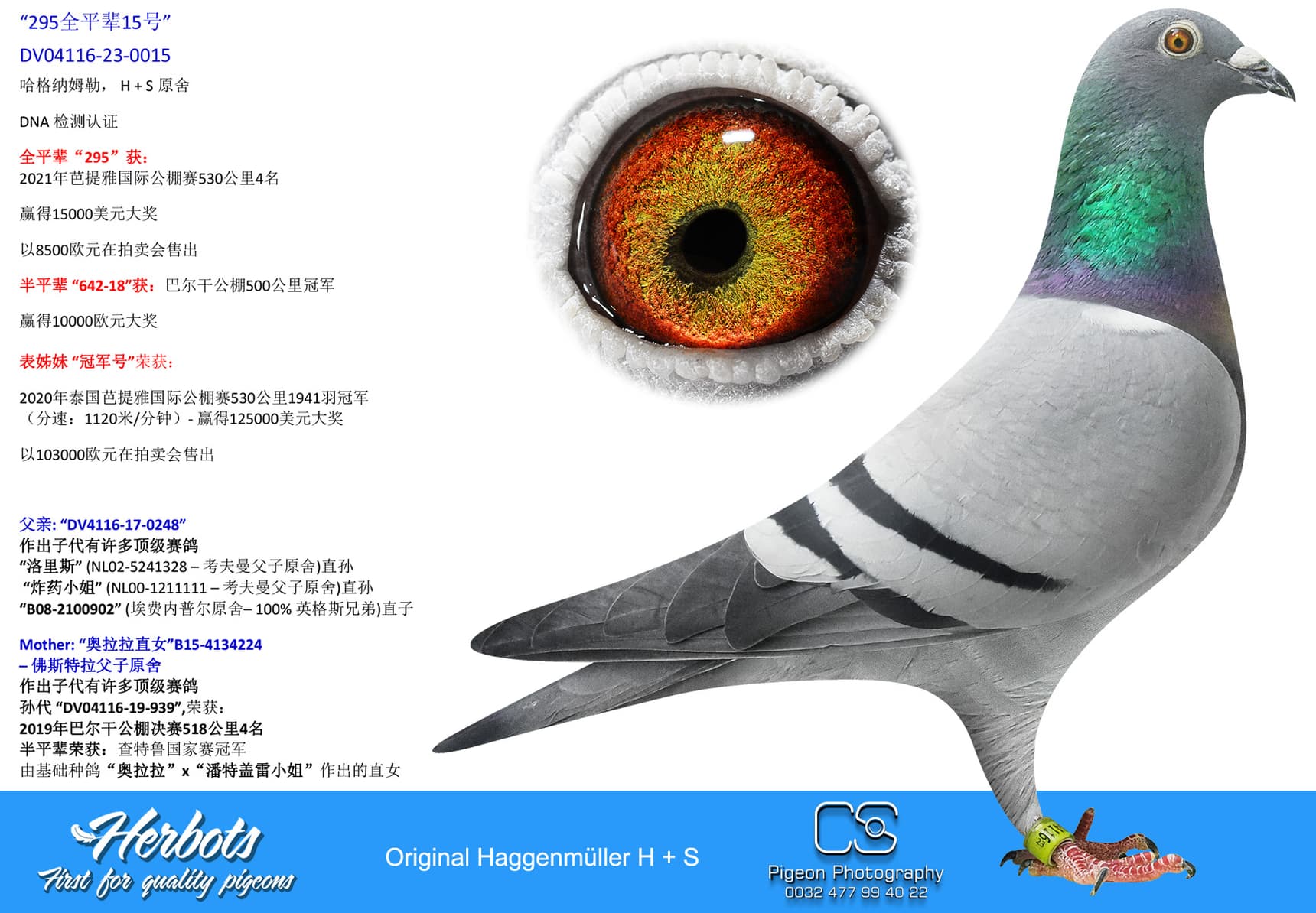 pigeon: undefined