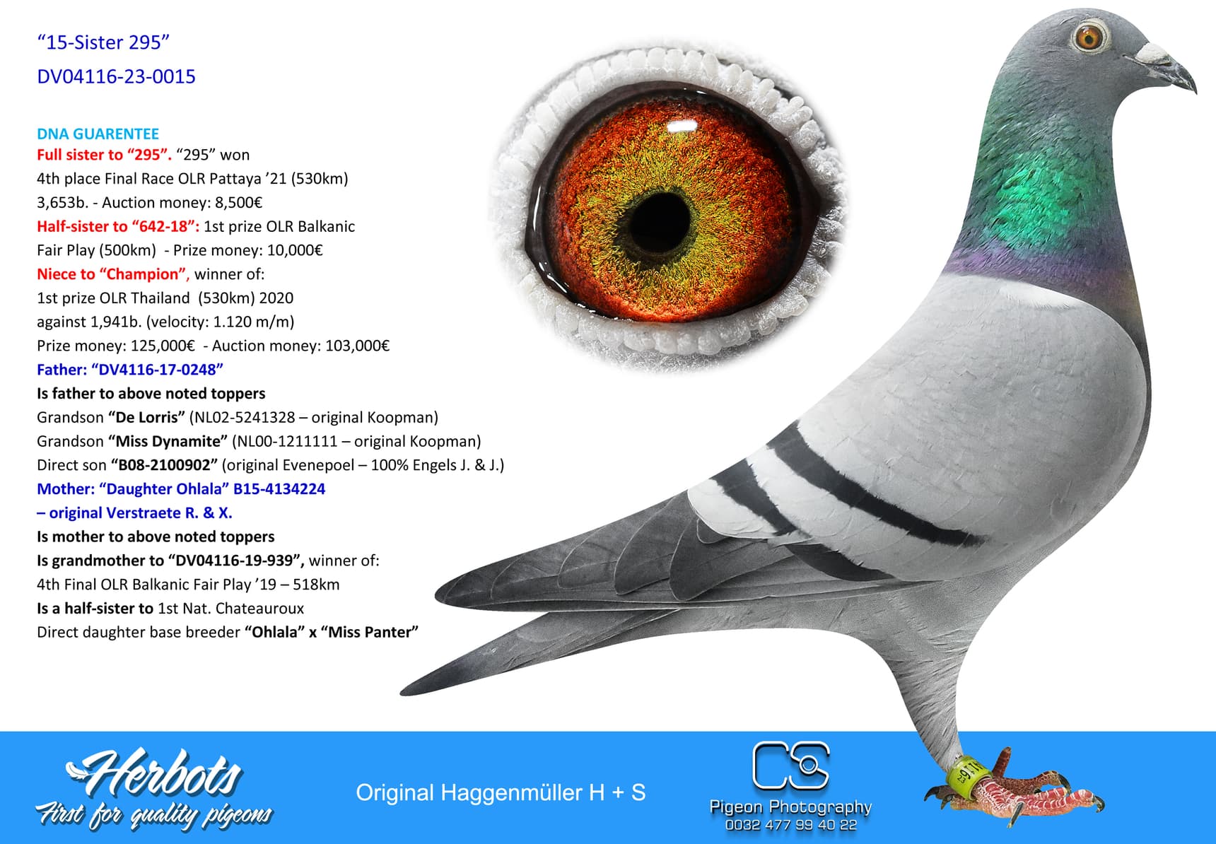 pigeon: undefined