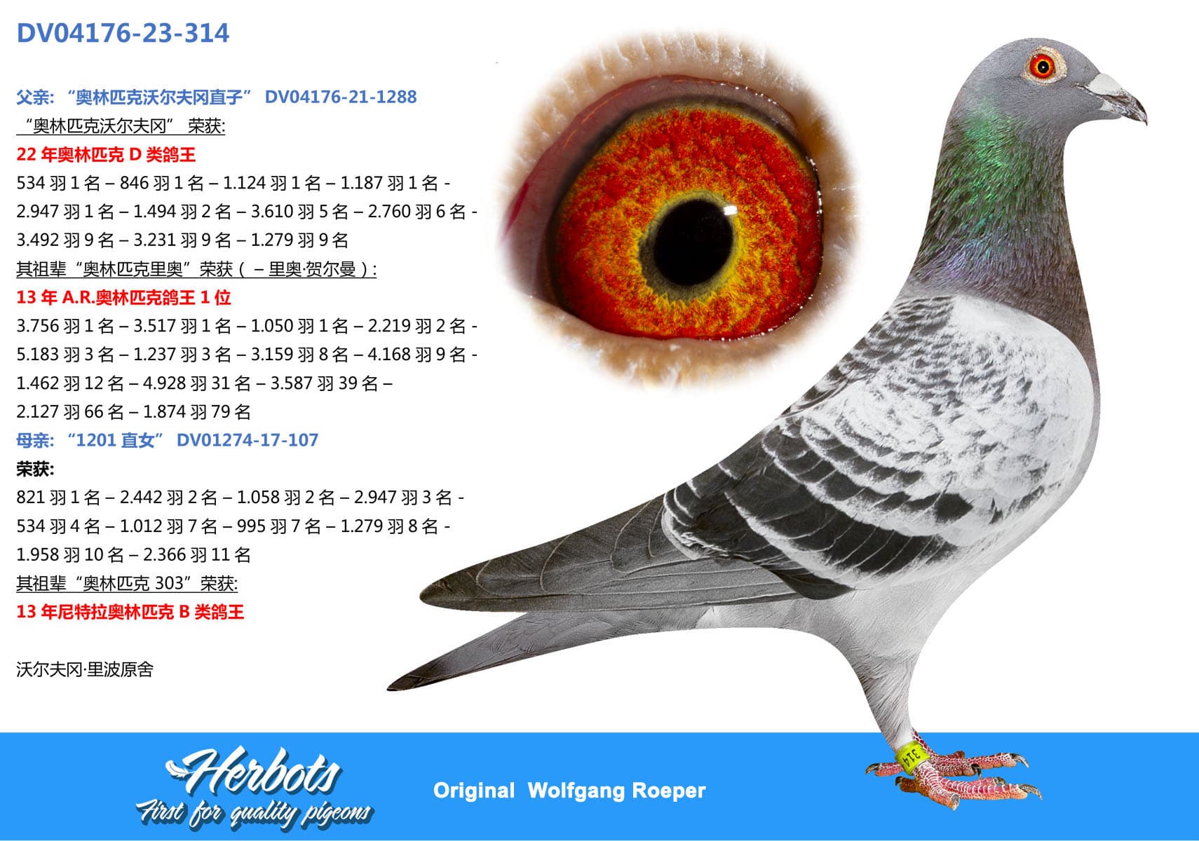 pigeon: "Roeper 314"