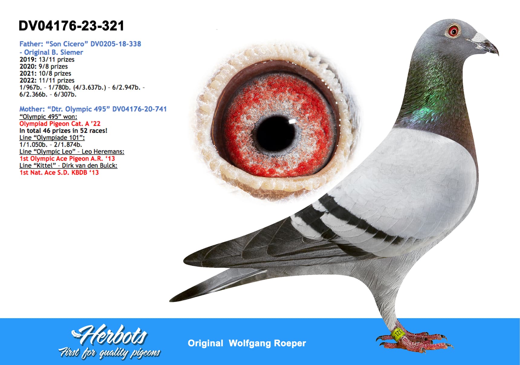 pigeon: undefined