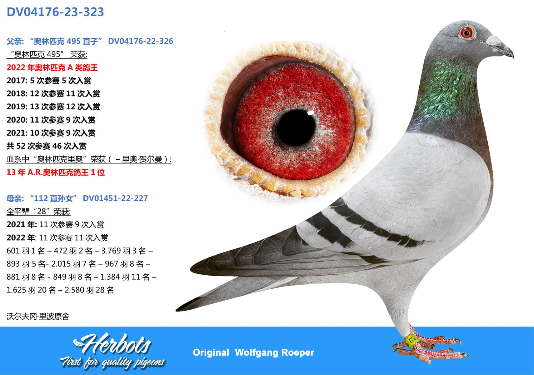 pigeon: undefined