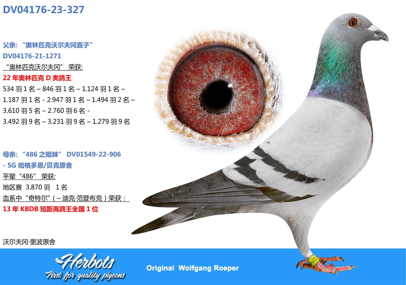 pigeon: undefined