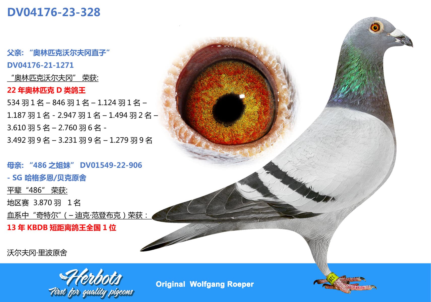 pigeon: undefined