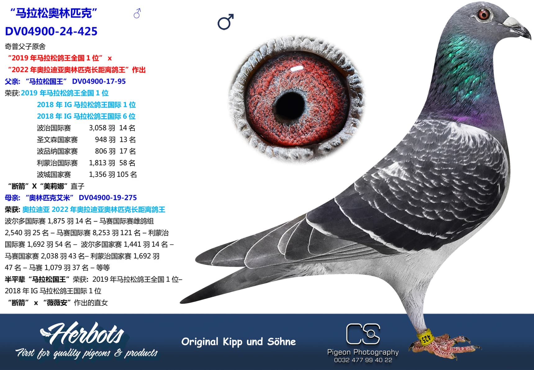 pigeon: undefined
