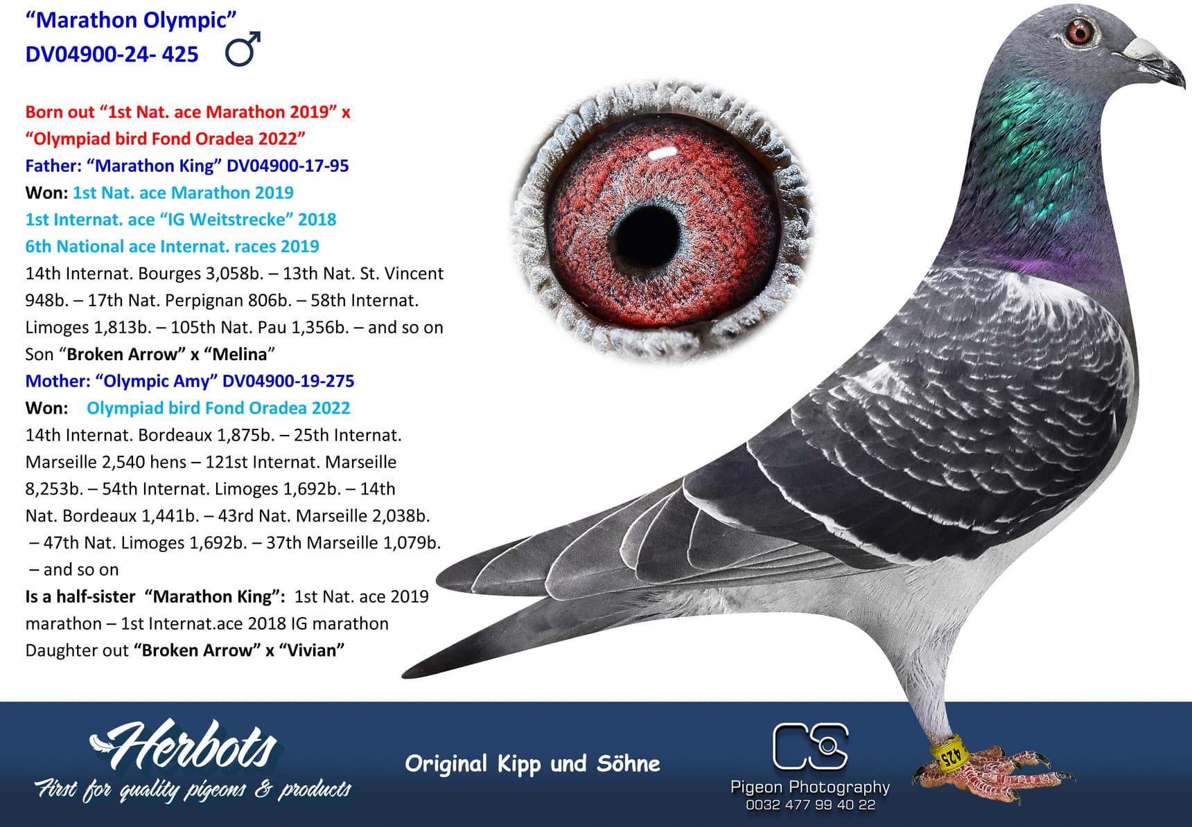 pigeon: undefined