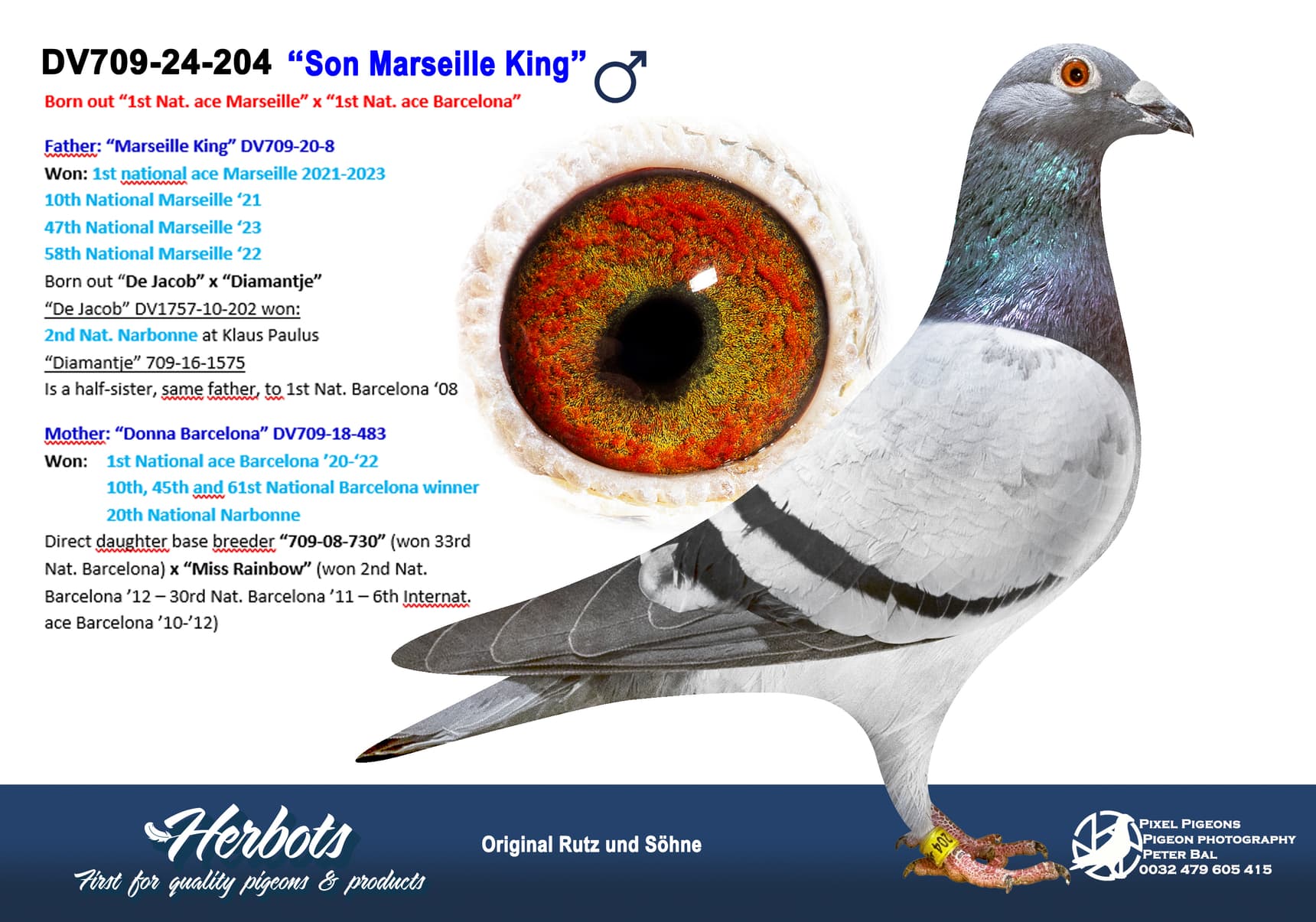 pigeon: undefined