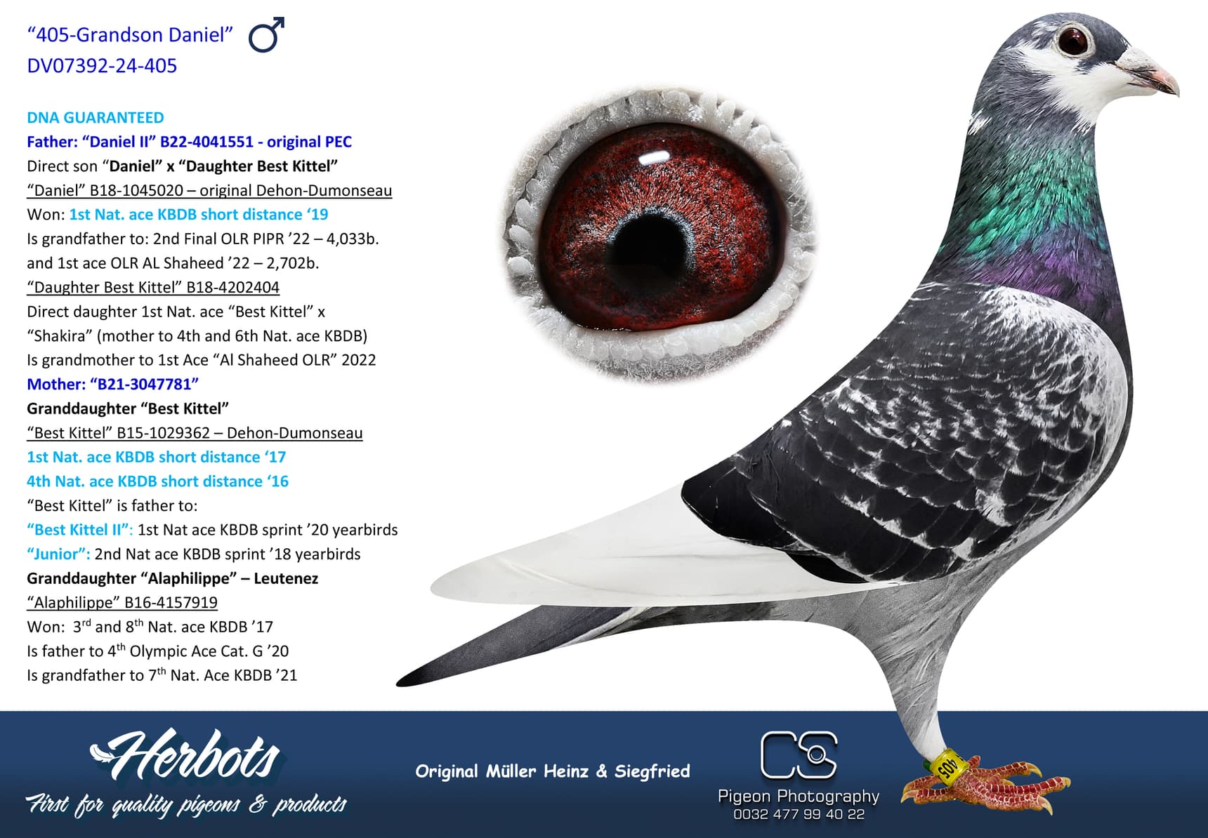 pigeon: undefined