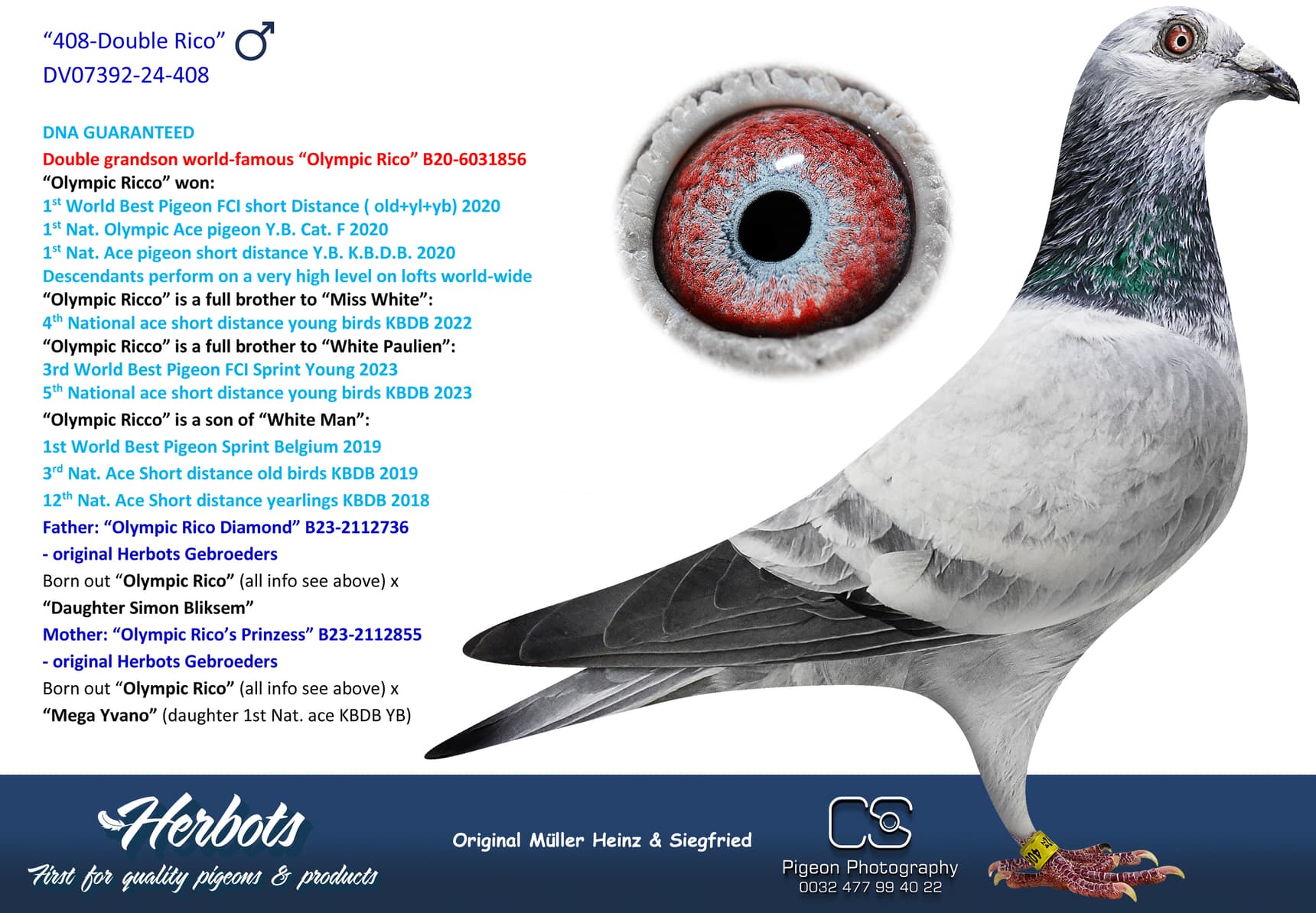 pigeon: undefined