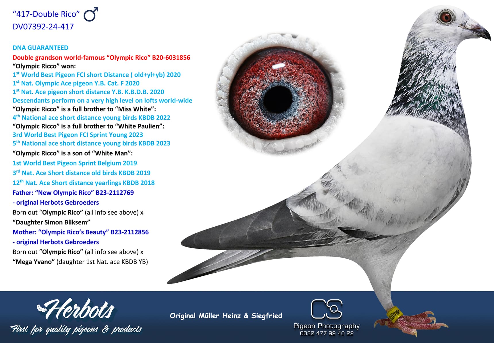 pigeon: undefined