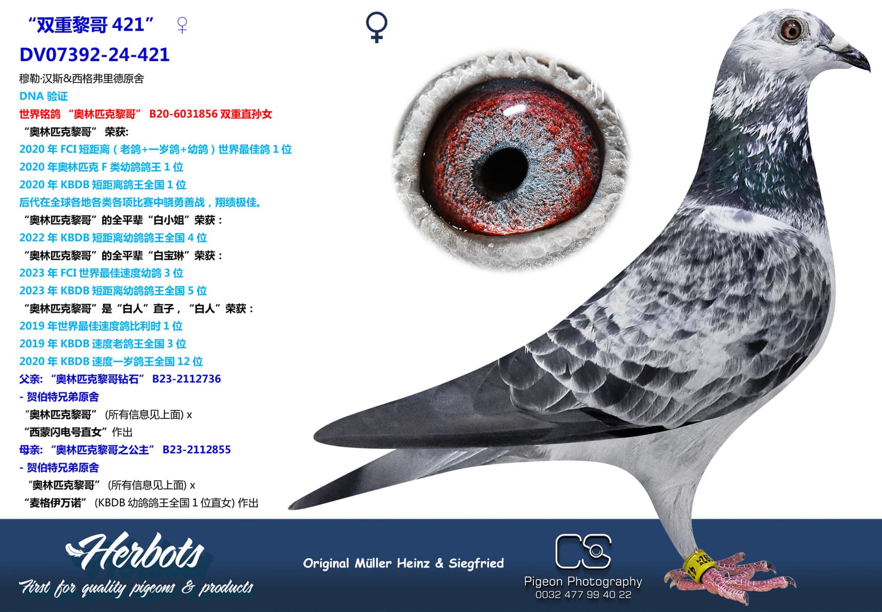 pigeon: “双重黎哥之421”