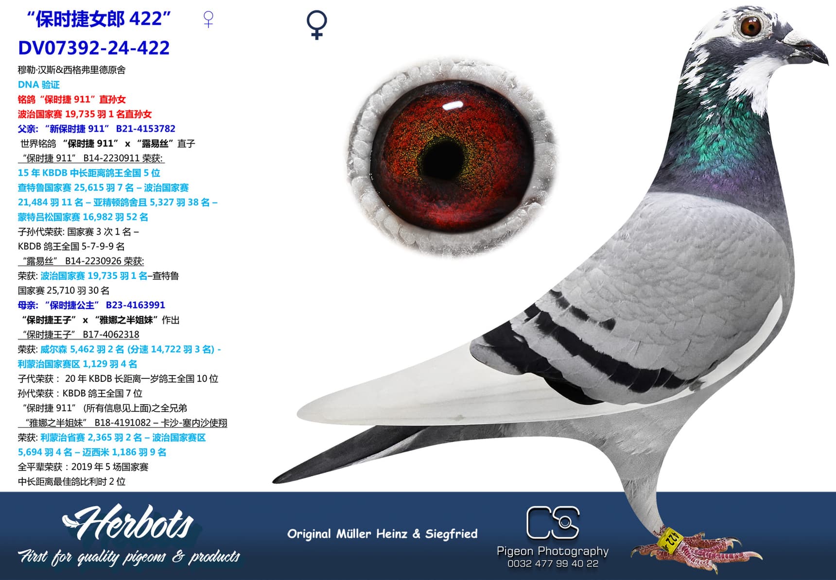 pigeon: “保时捷女郎422”