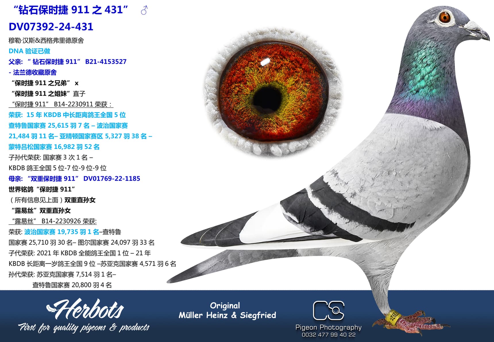 pigeon: “钻石保时捷 911之431”