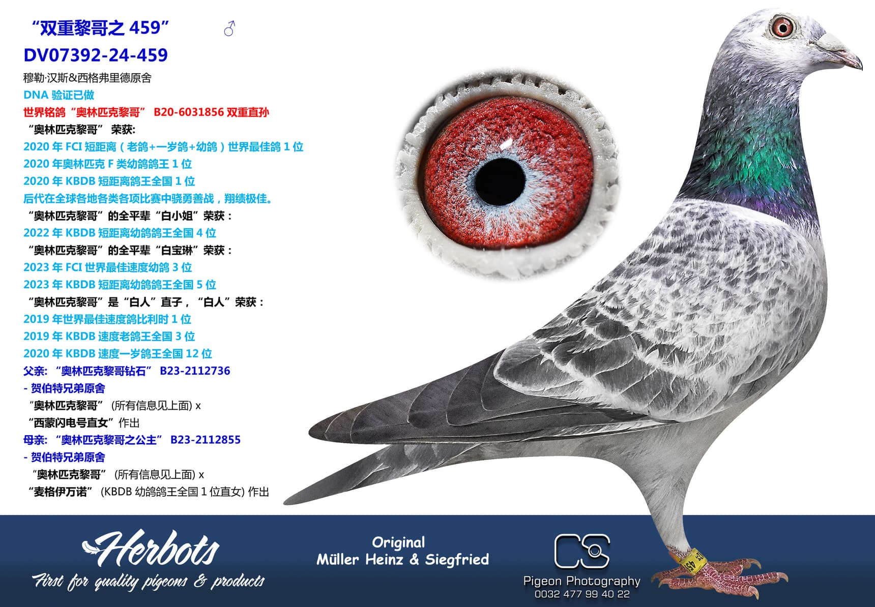 pigeon: “双重黎哥之459”