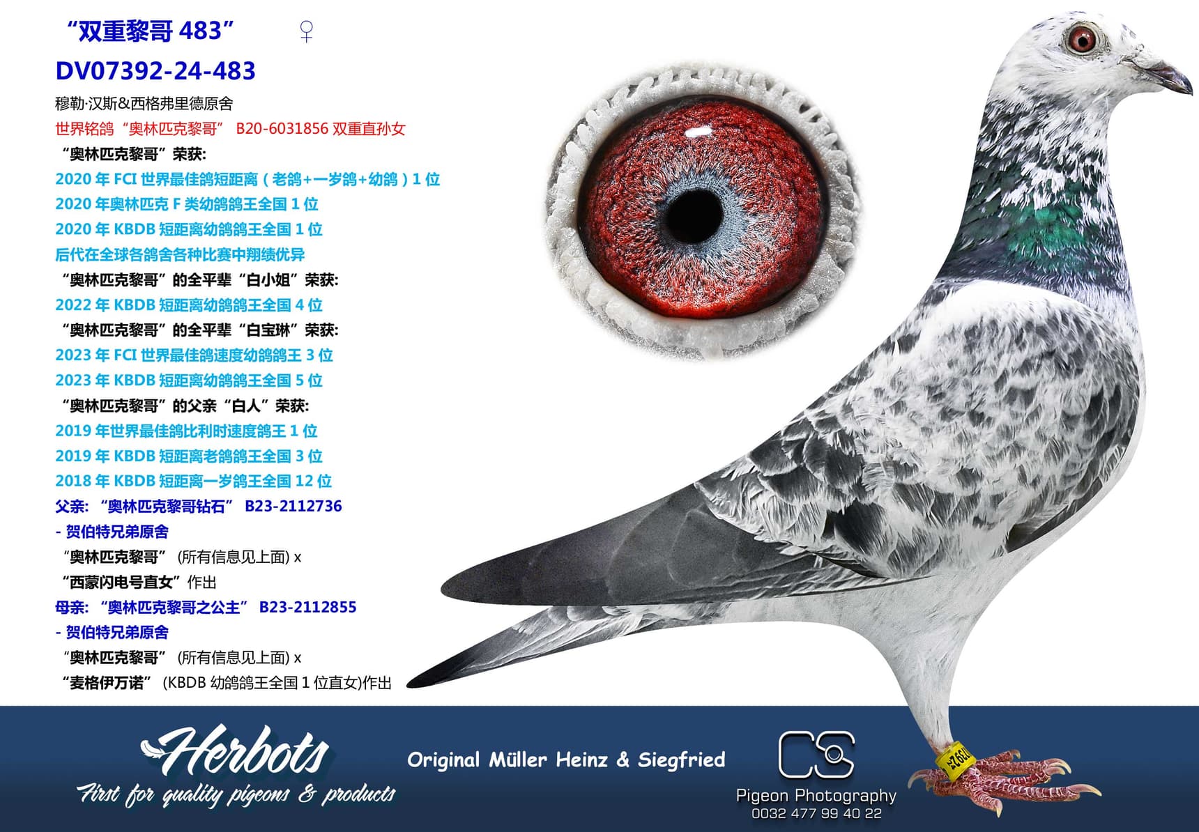 pigeon: undefined