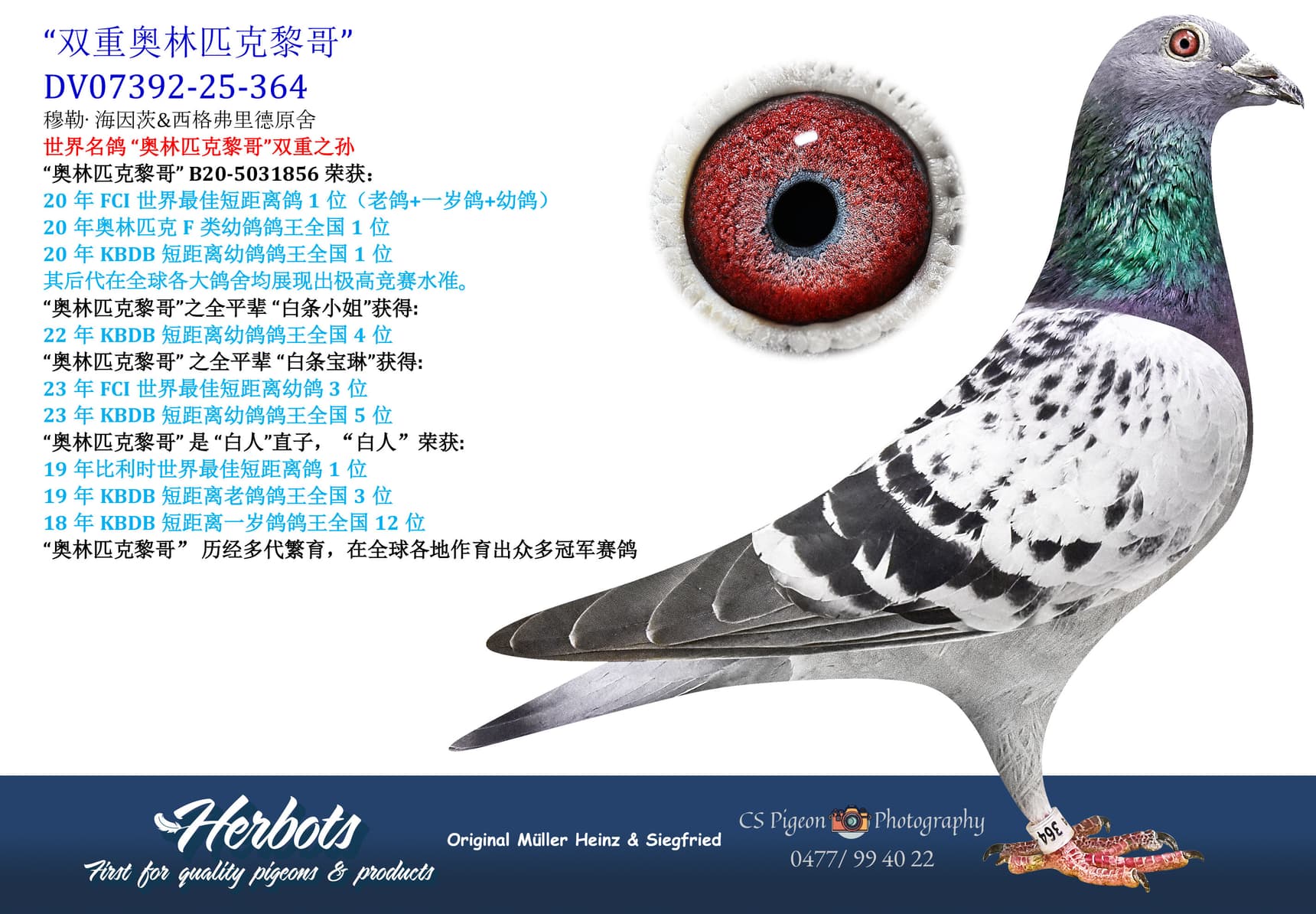 pigeon: undefined