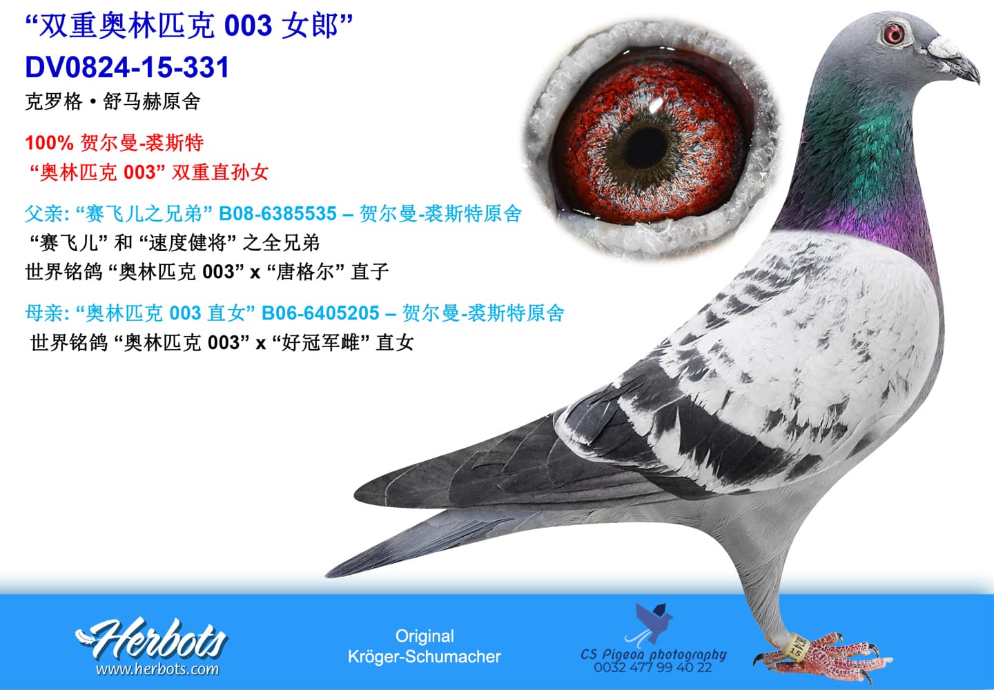 pigeon: undefined