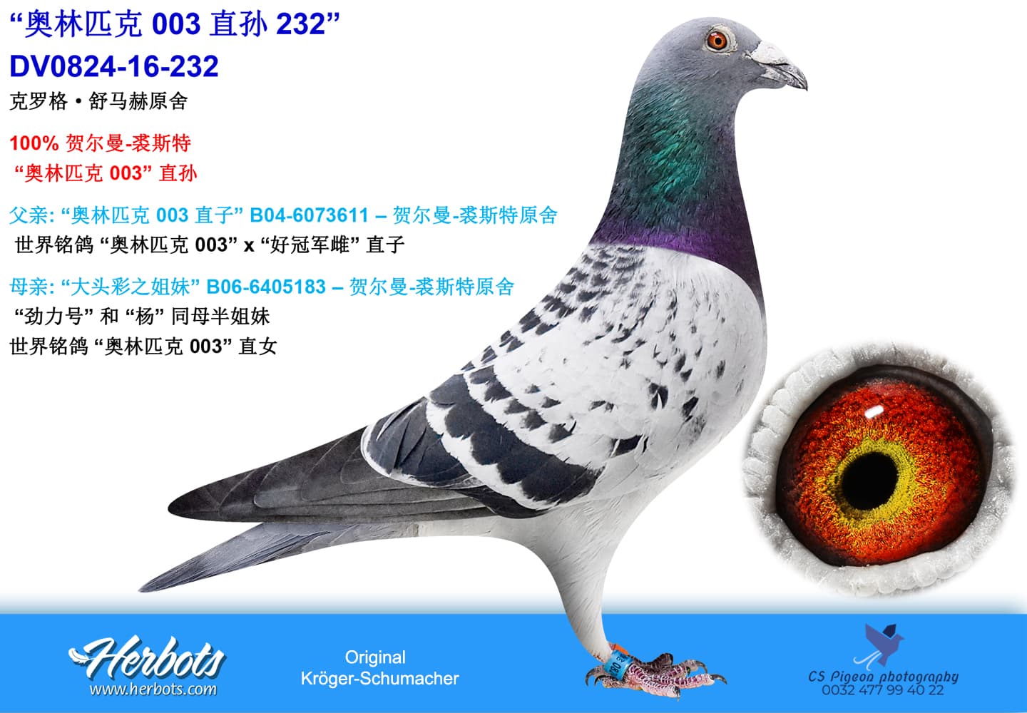 pigeon: undefined