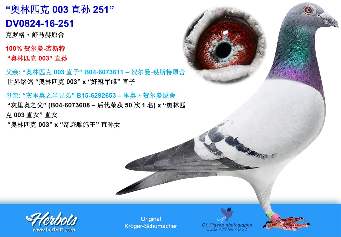 pigeon: undefined