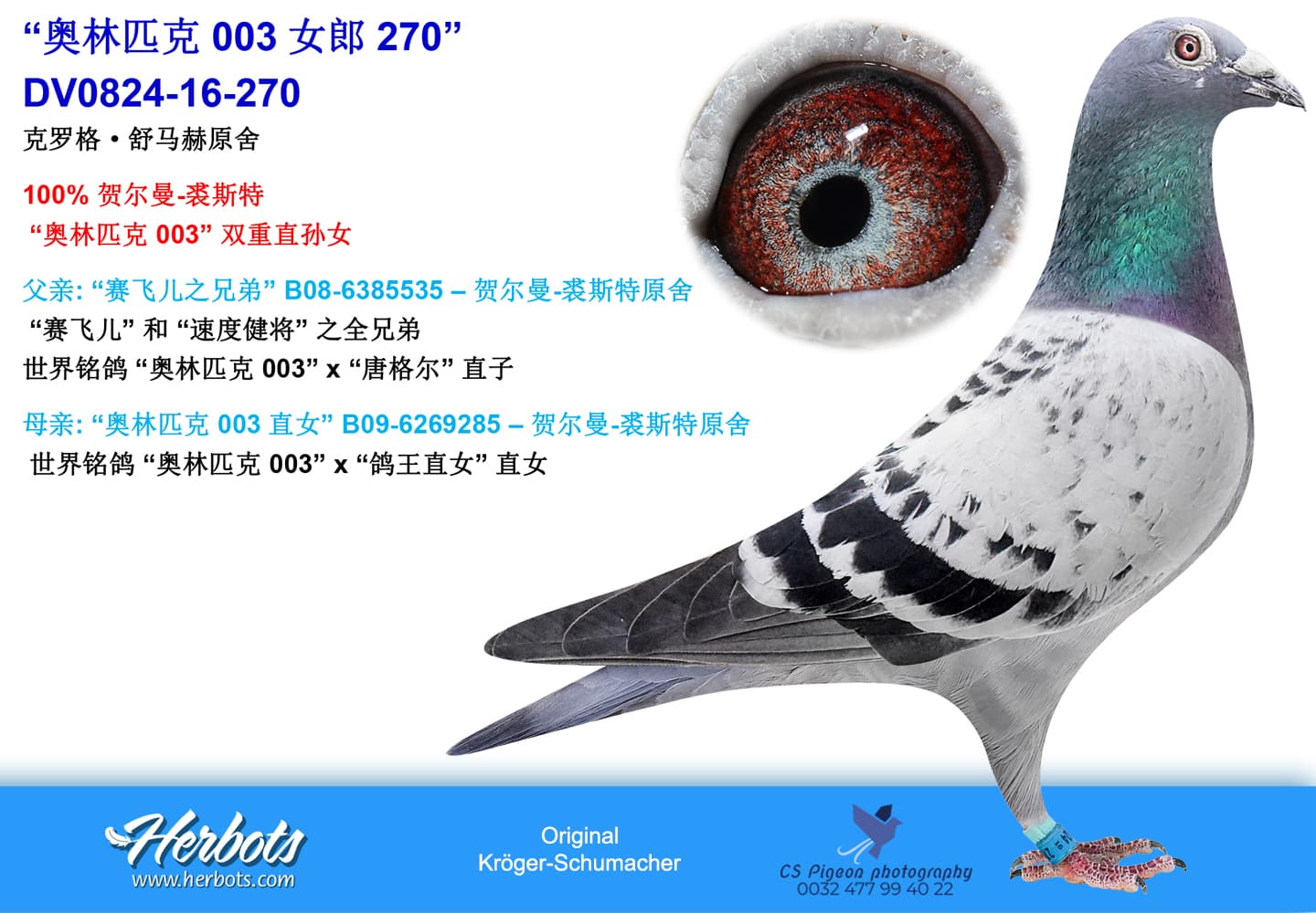 pigeon: undefined