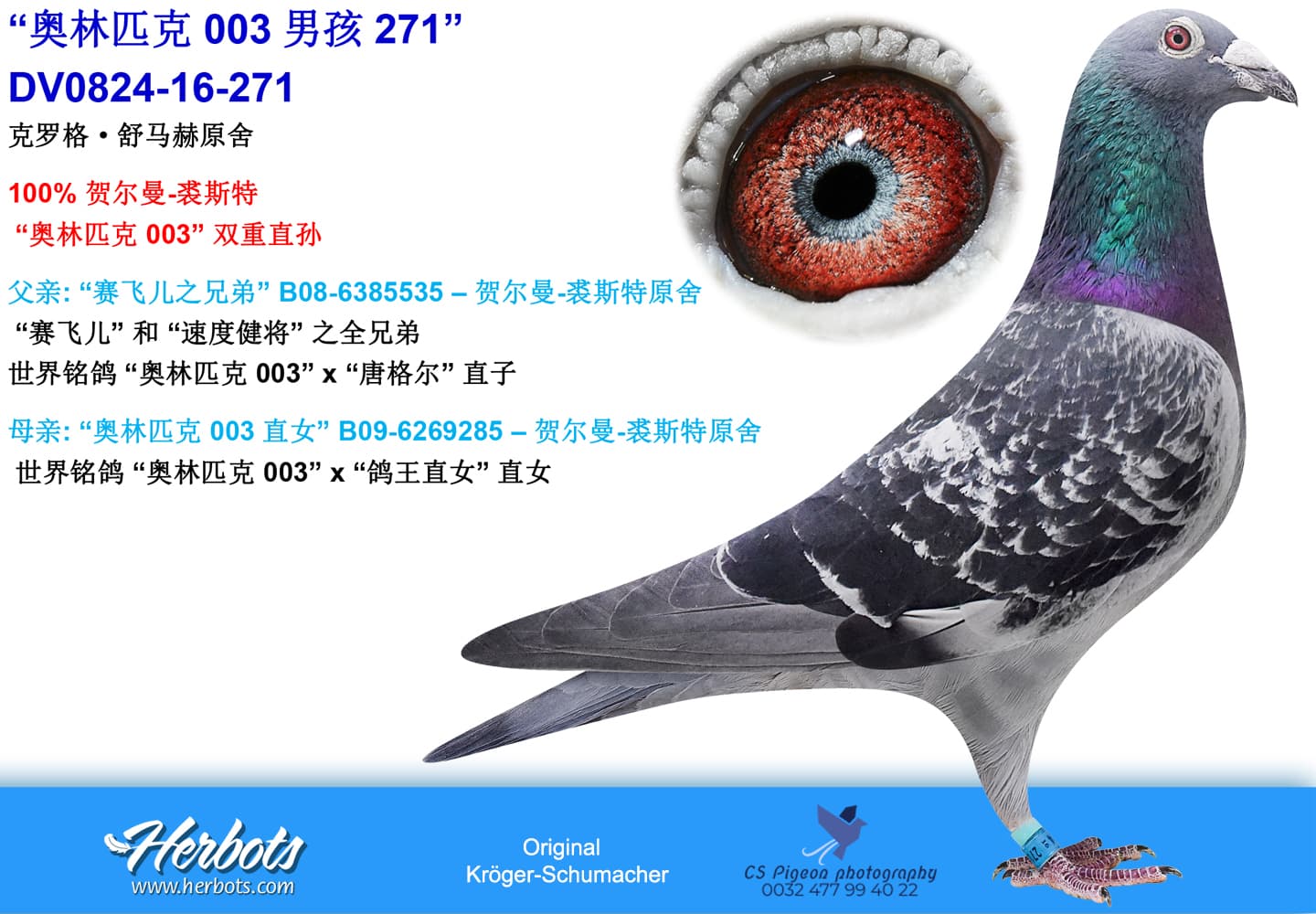 pigeon: undefined