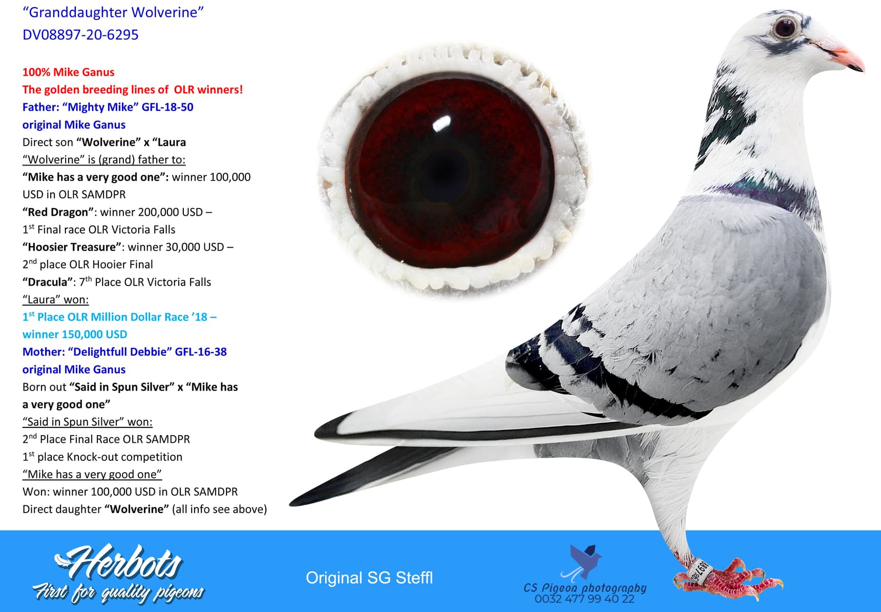 pigeon: undefined