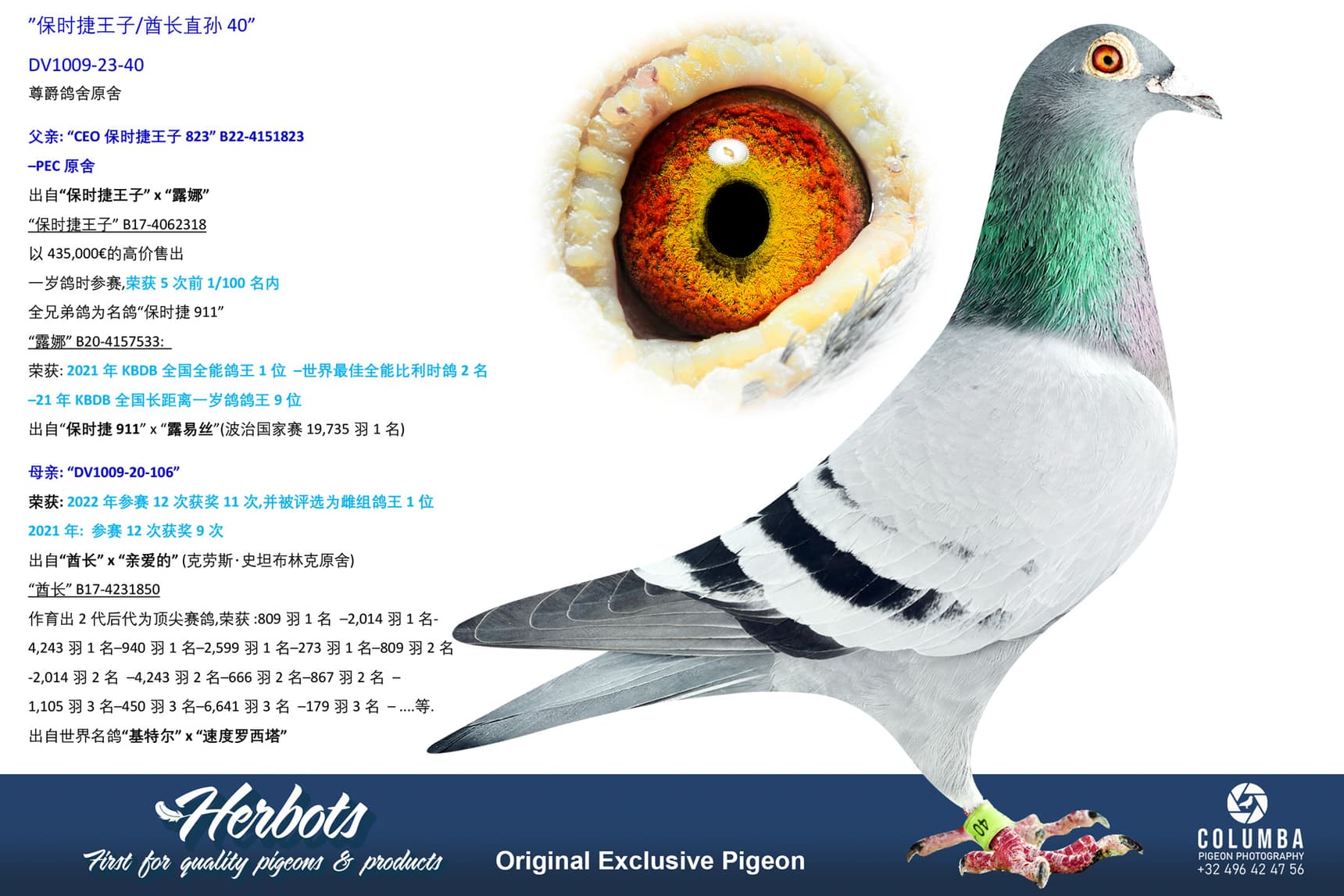pigeon: undefined